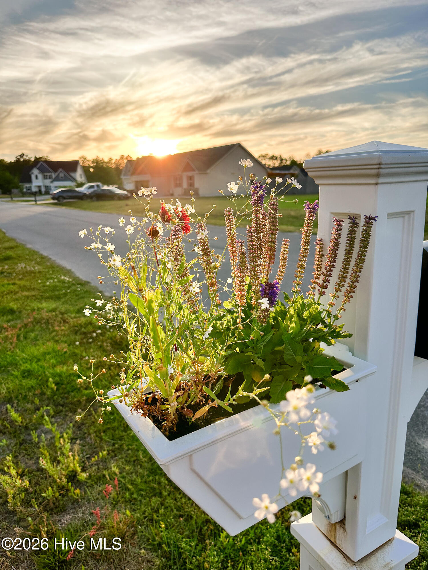 100558227 | Photo 44