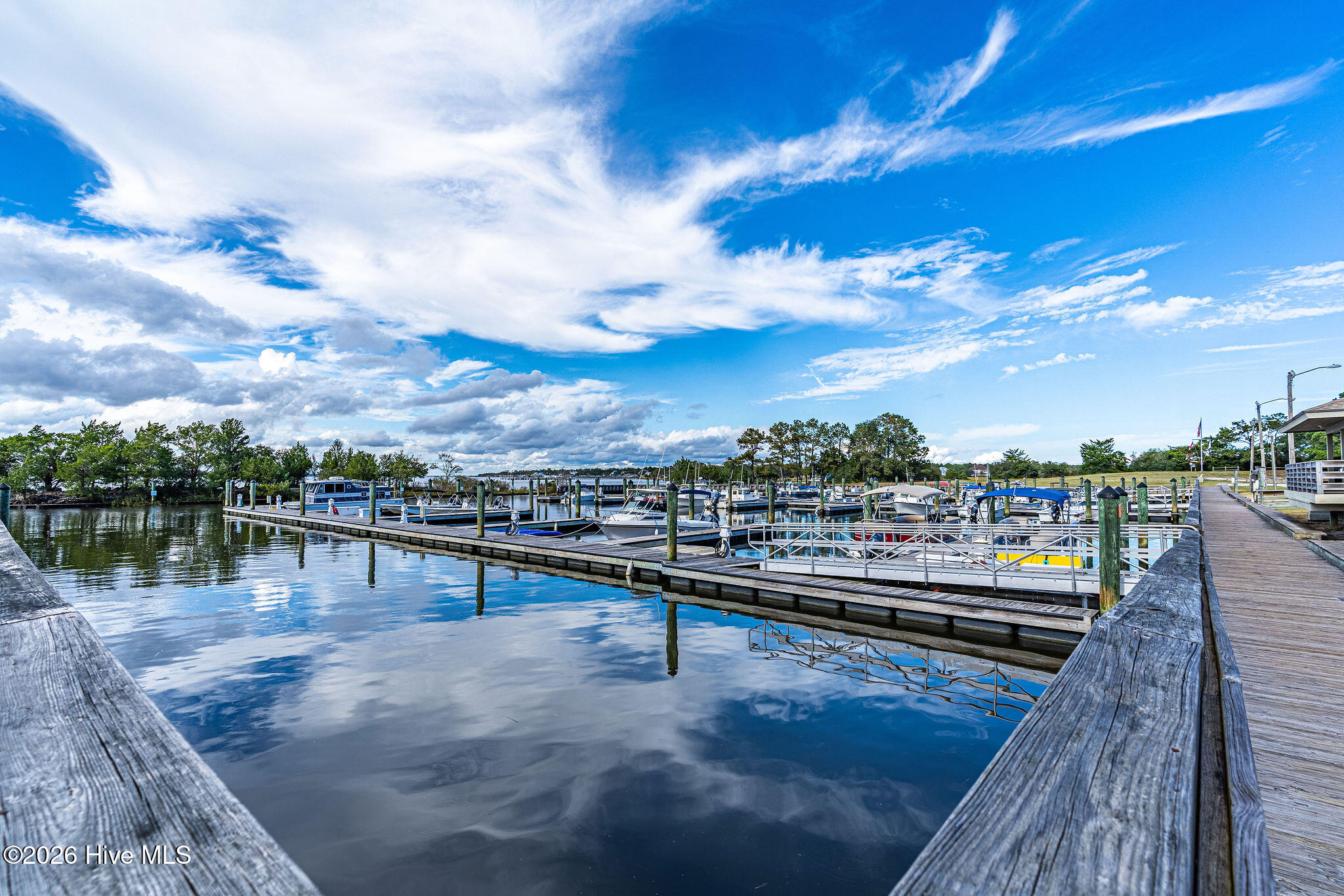 100562834 | Photo 68