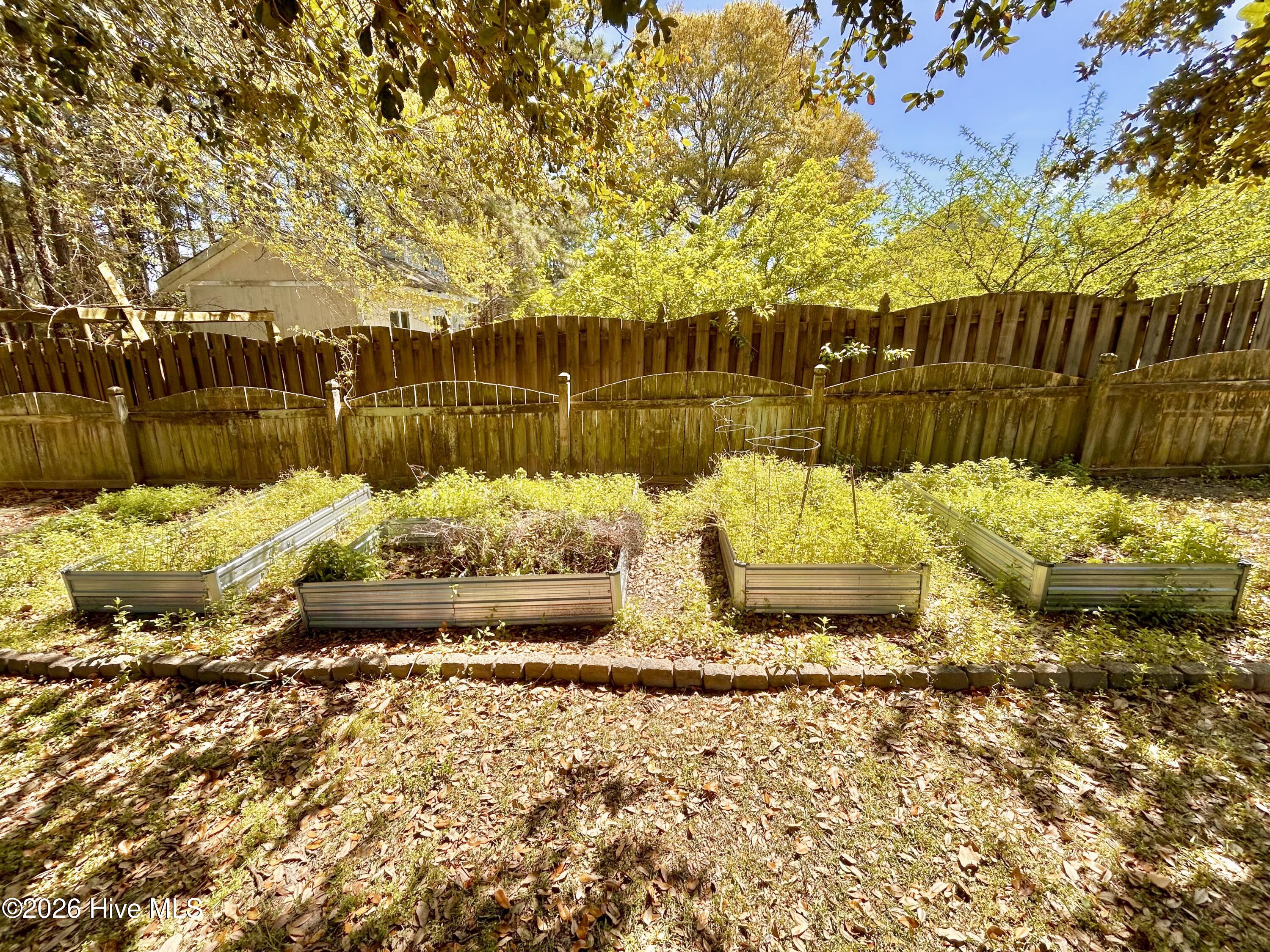 100564341 | Photo 48