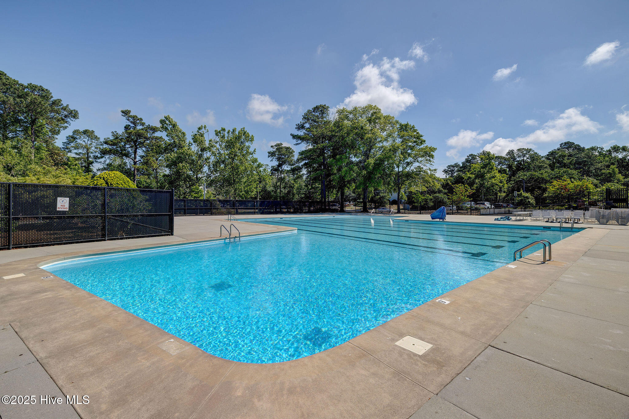 100538895 | Photo 51