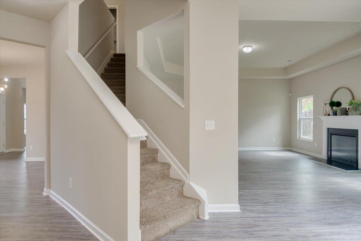 5026 Vine Lane