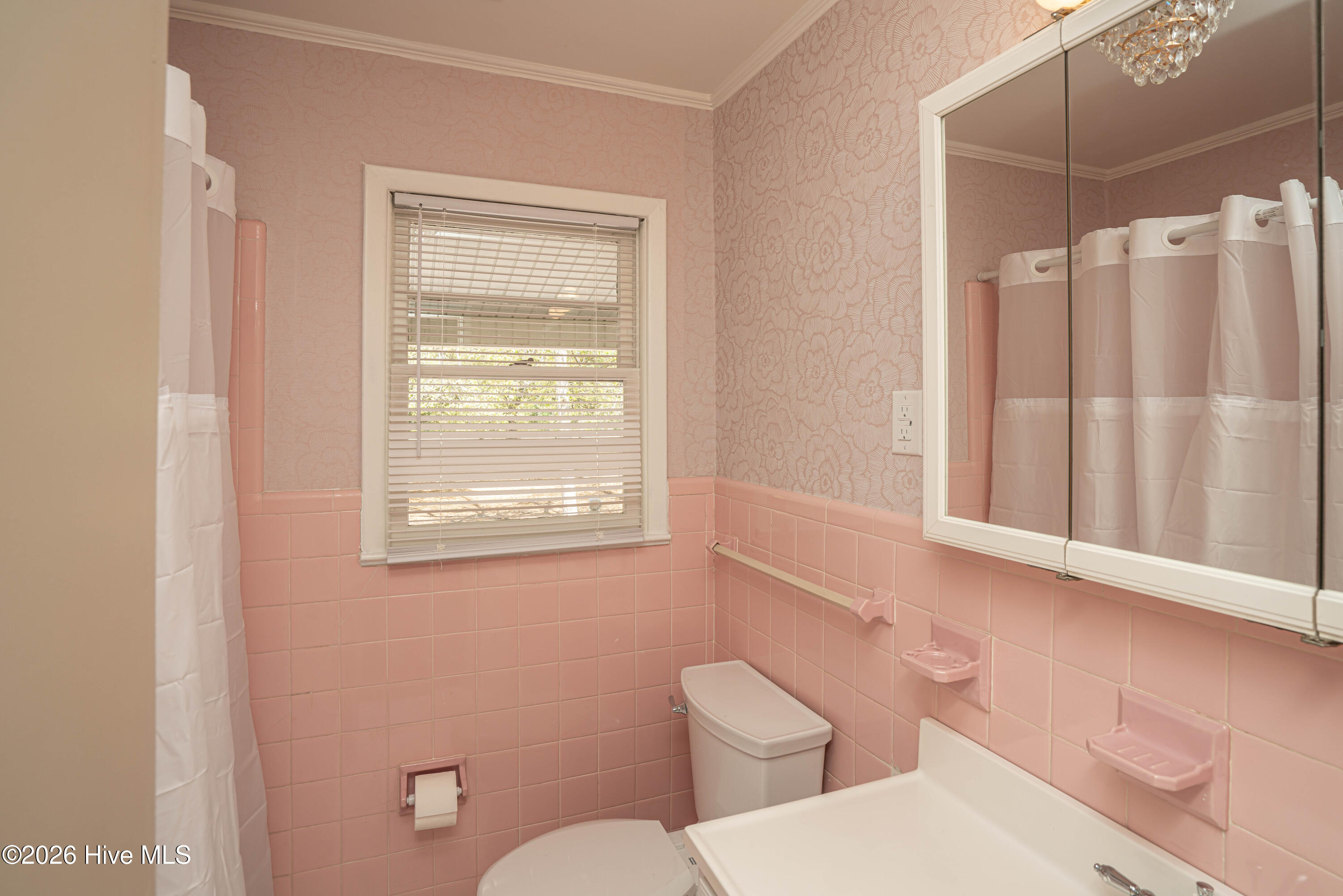 100567372 | Photo 51