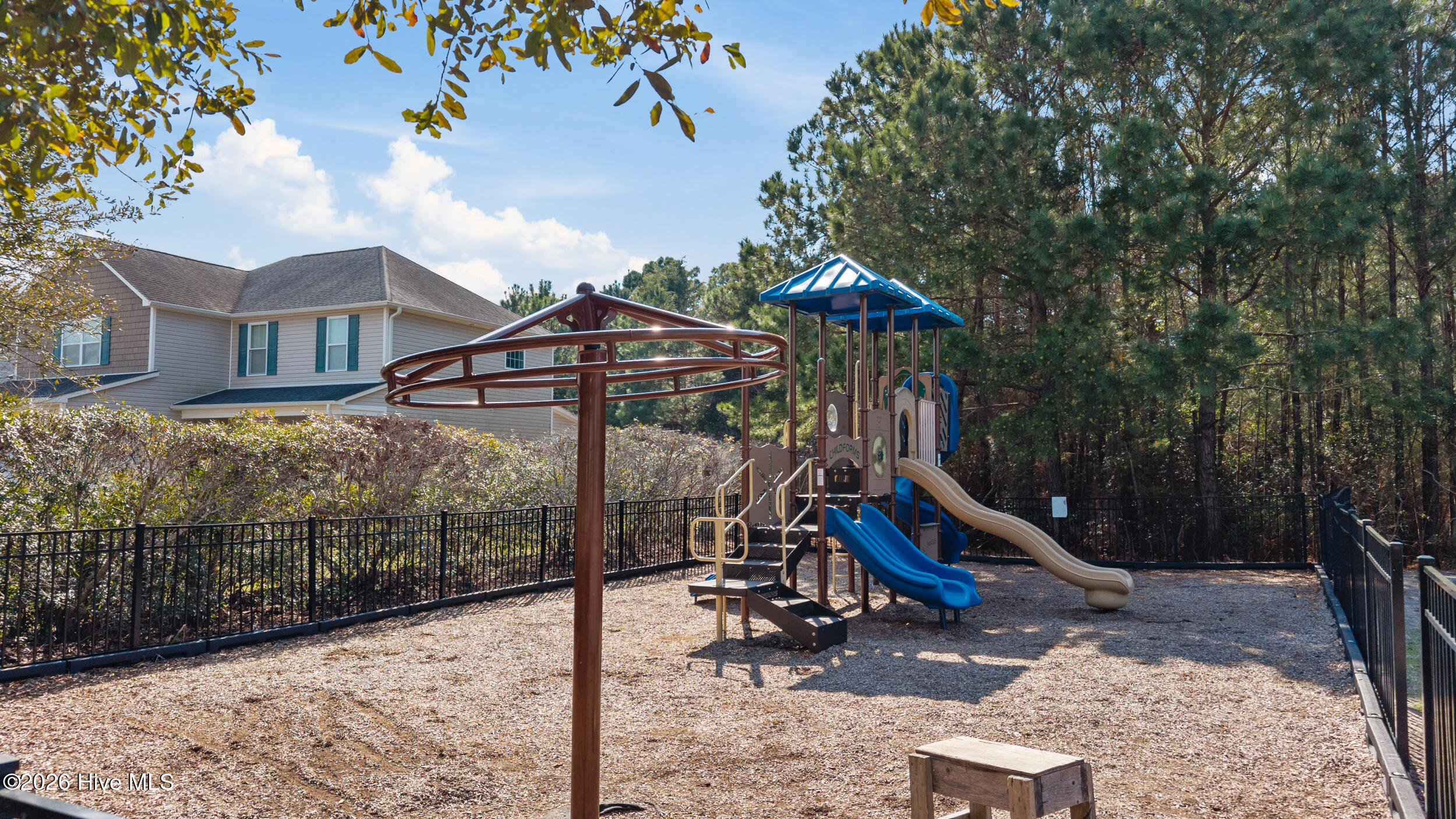 100557196 | Photo 41