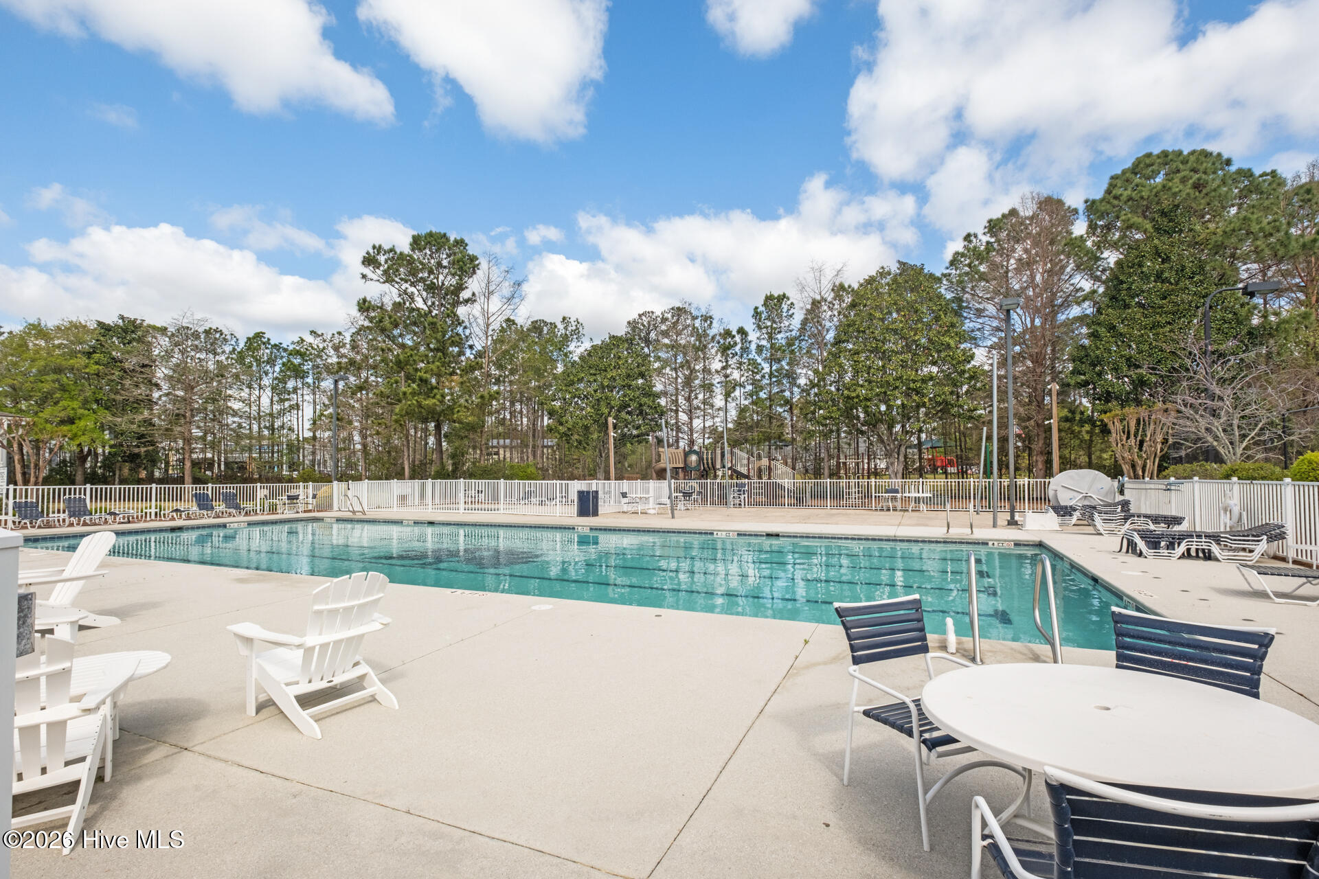 100564524 | Photo 63