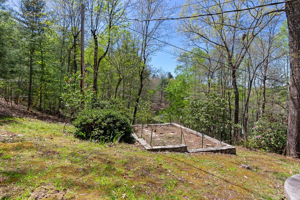 1240 Village Road, Murphy, NC 28906 Listing Photo  75