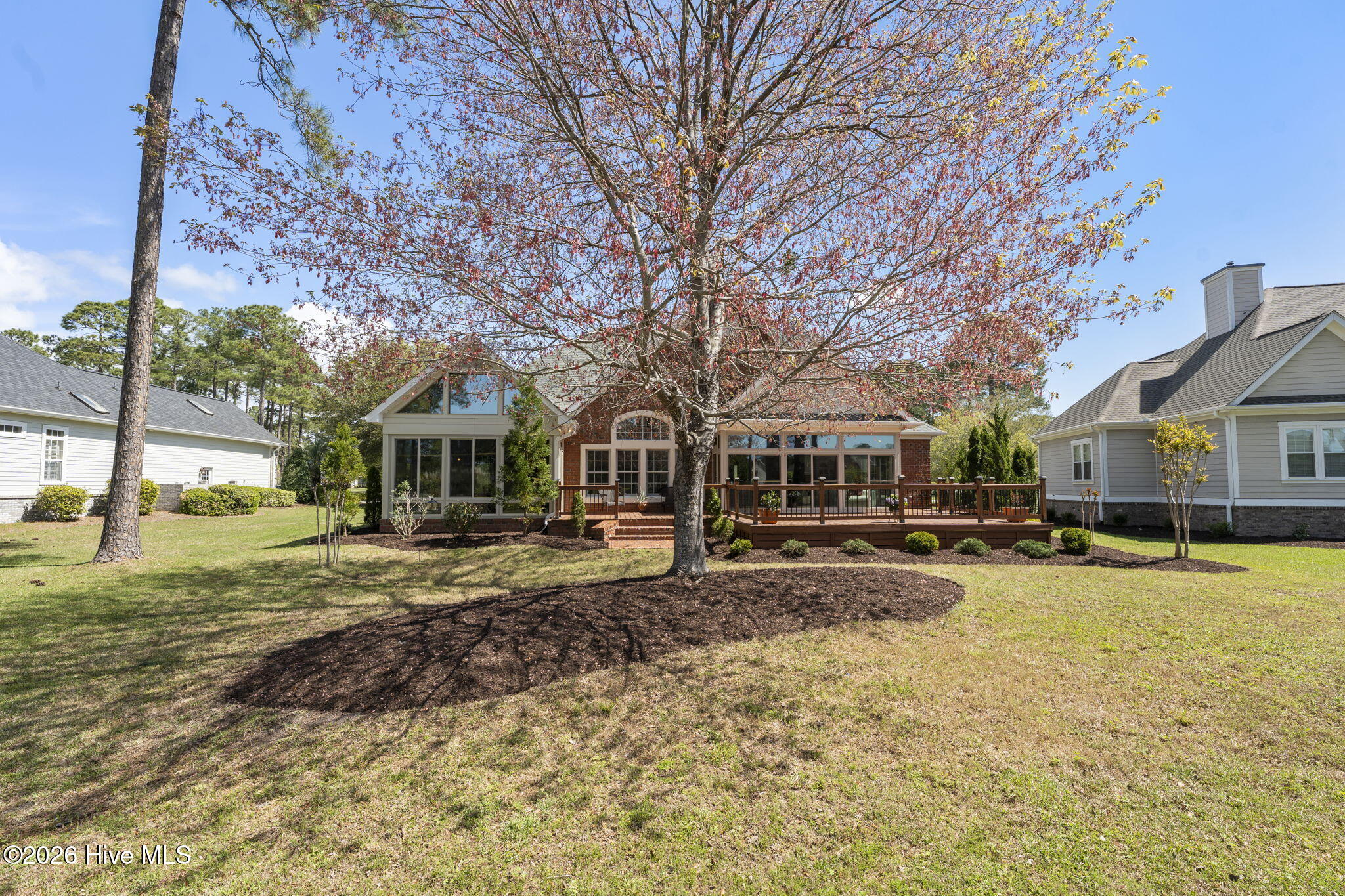 100563951 | Photo 48