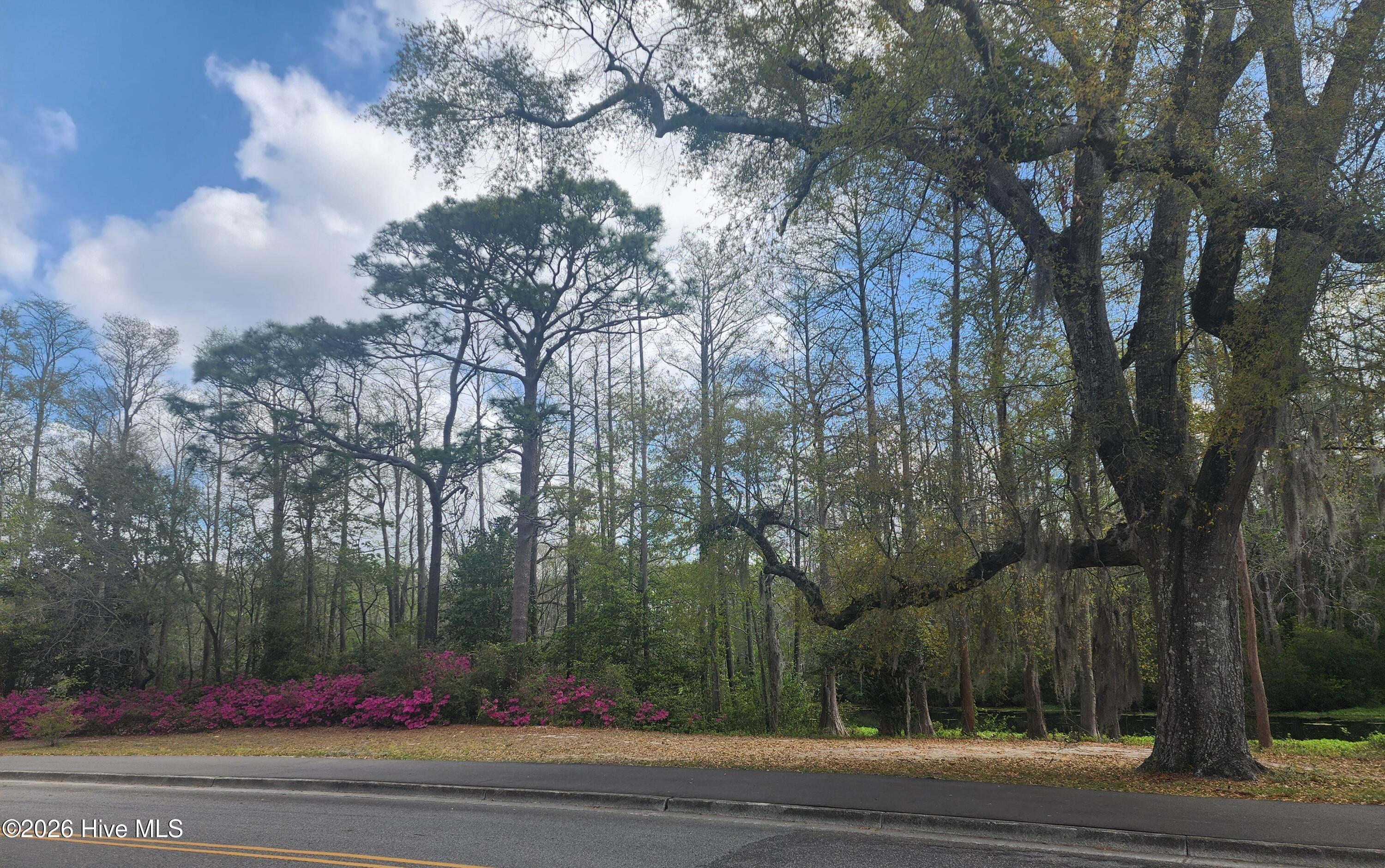 100564526 | Photo 11