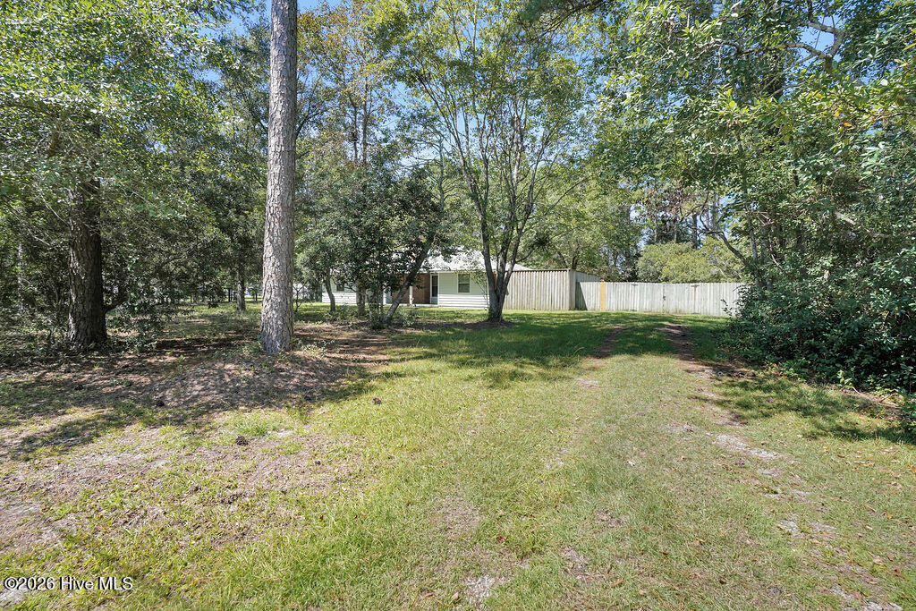 100557409 | Photo 35