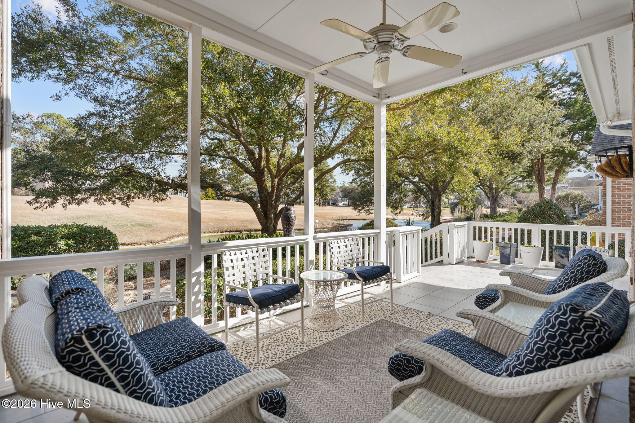 100554468 | Photo 30