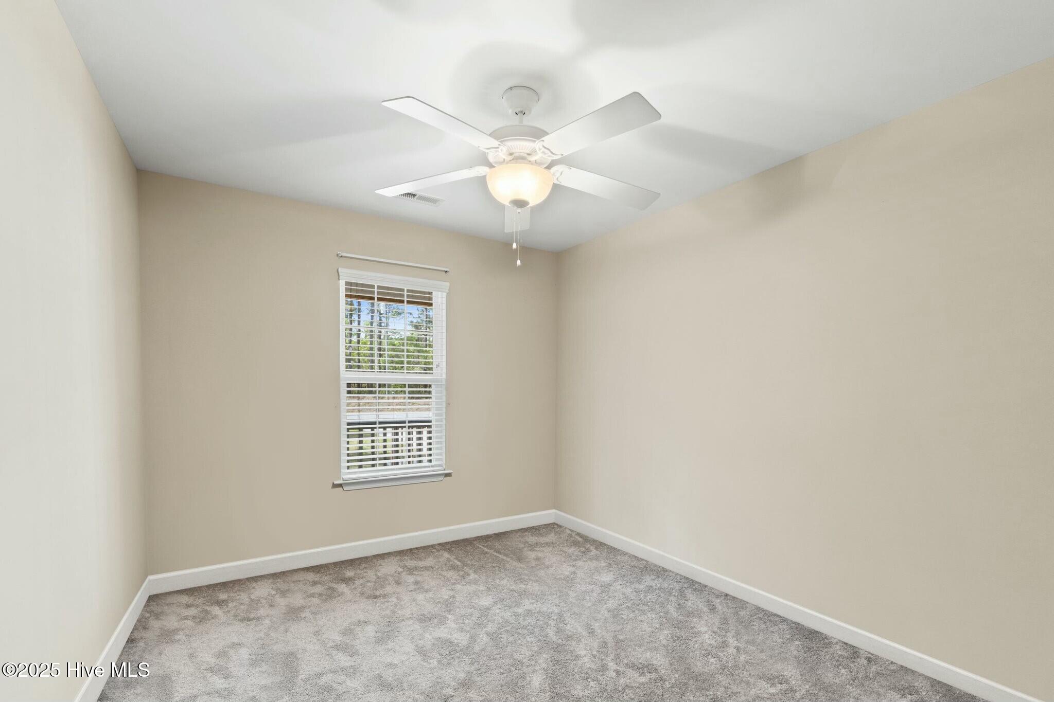 100503089 | Photo 43