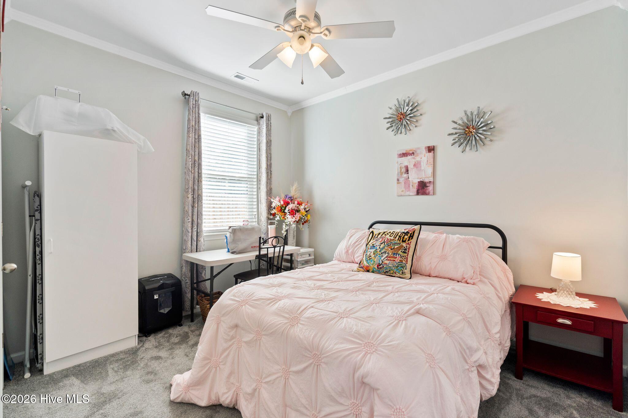 100550283 | Photo 44