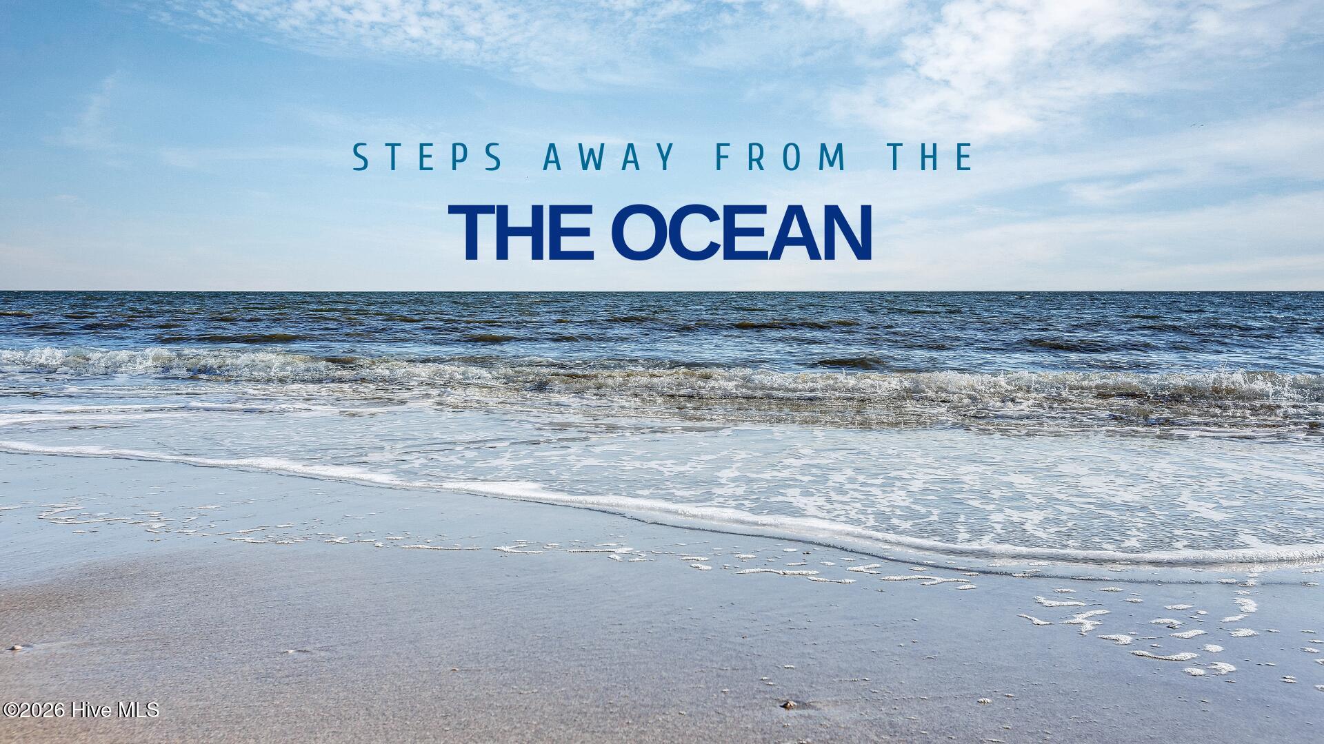 100558912 | Photo 30