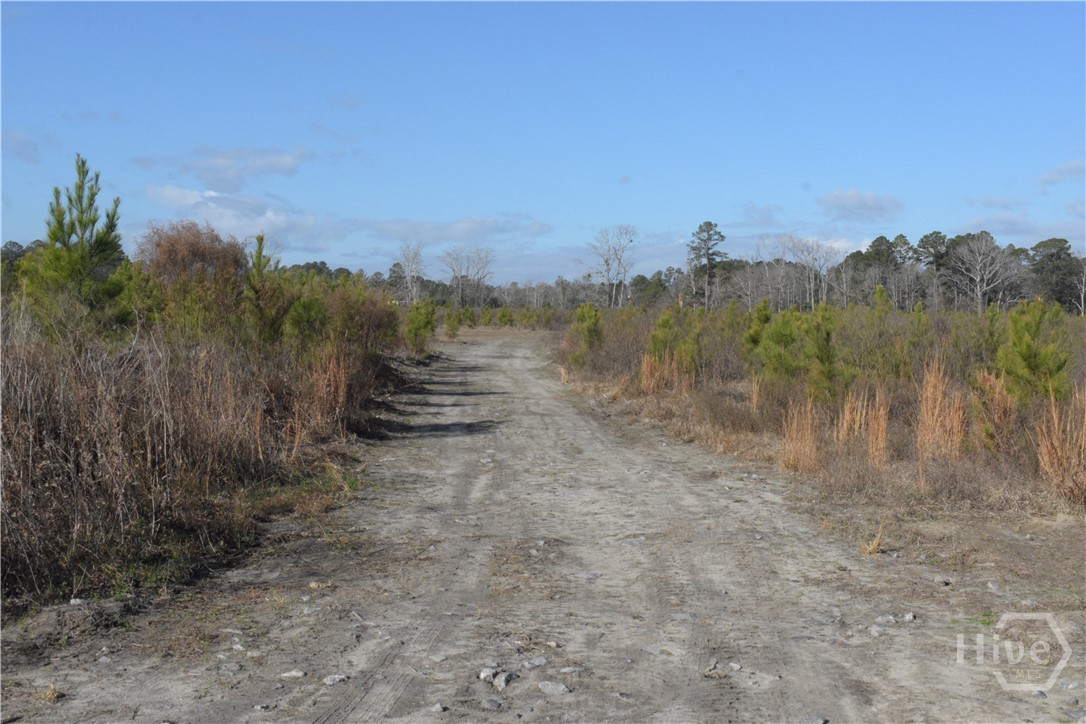 Homes for sale in Statesboro, GA | 0 Hwy 301, Statesboro, GA 30461 | MLS# SA346333