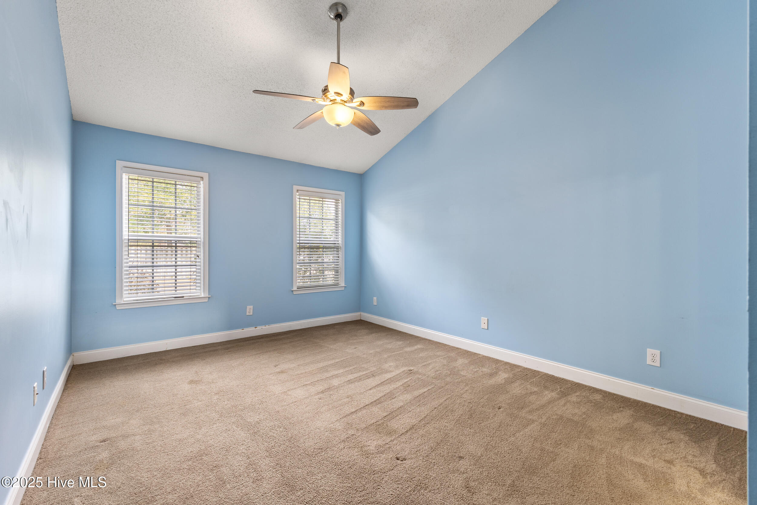 100539988 | Photo 17