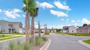 100547602 | Photo 23