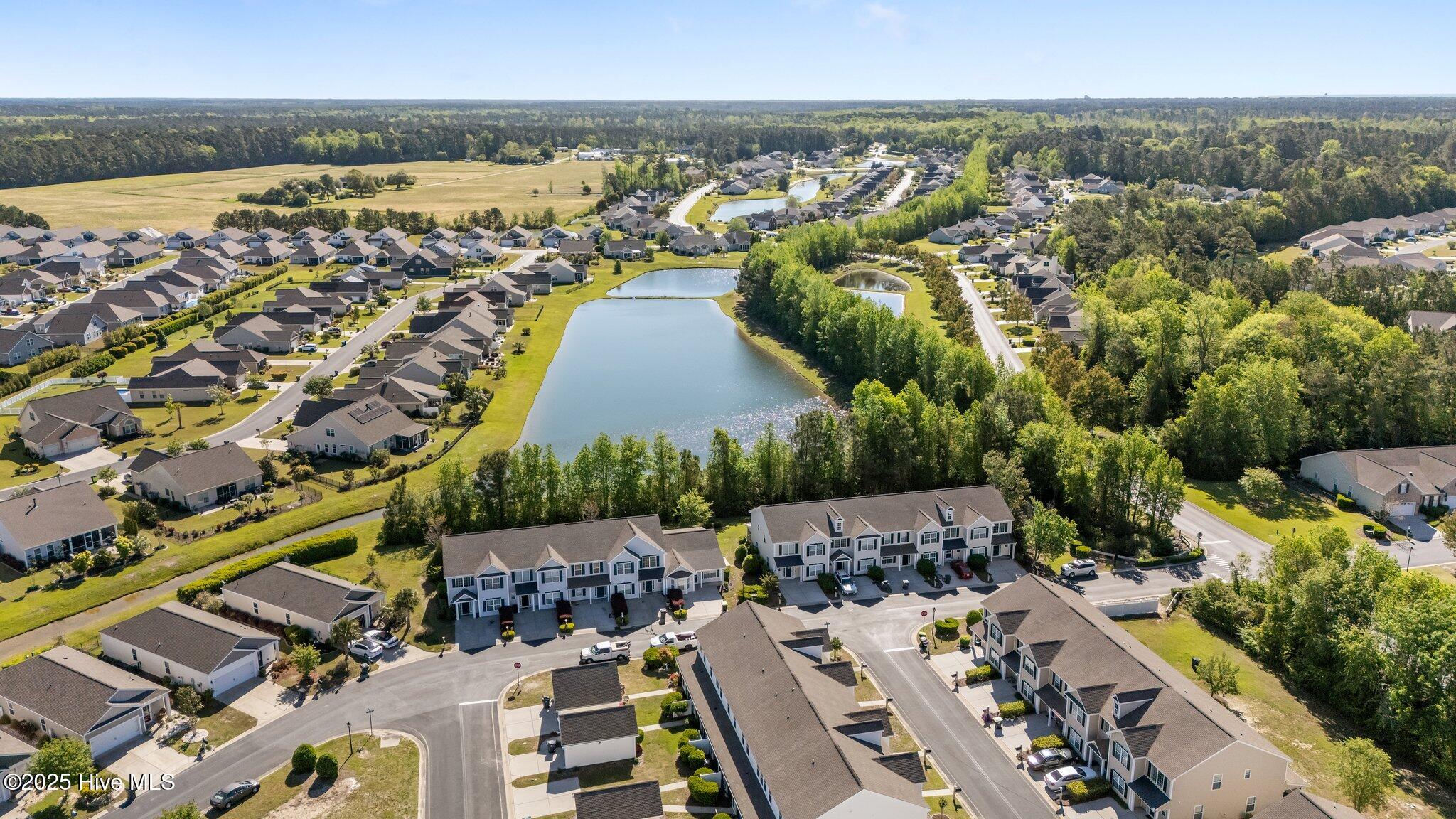 100502456 | Photo 40