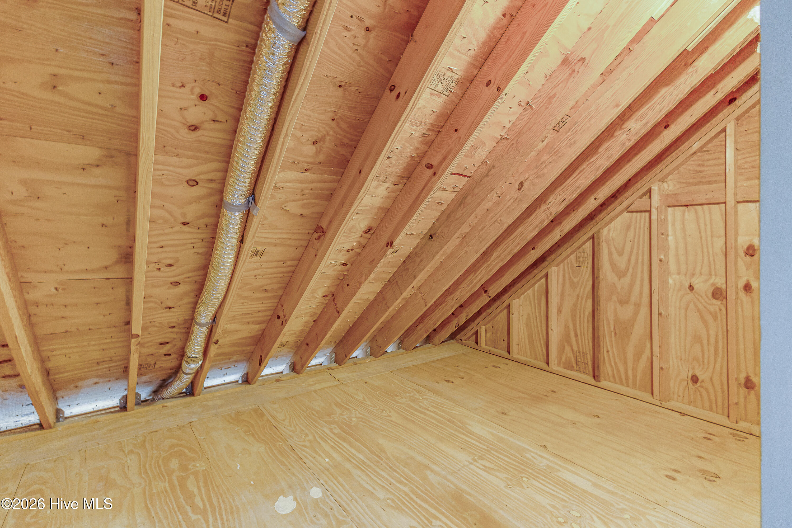 100563168 | Photo 43