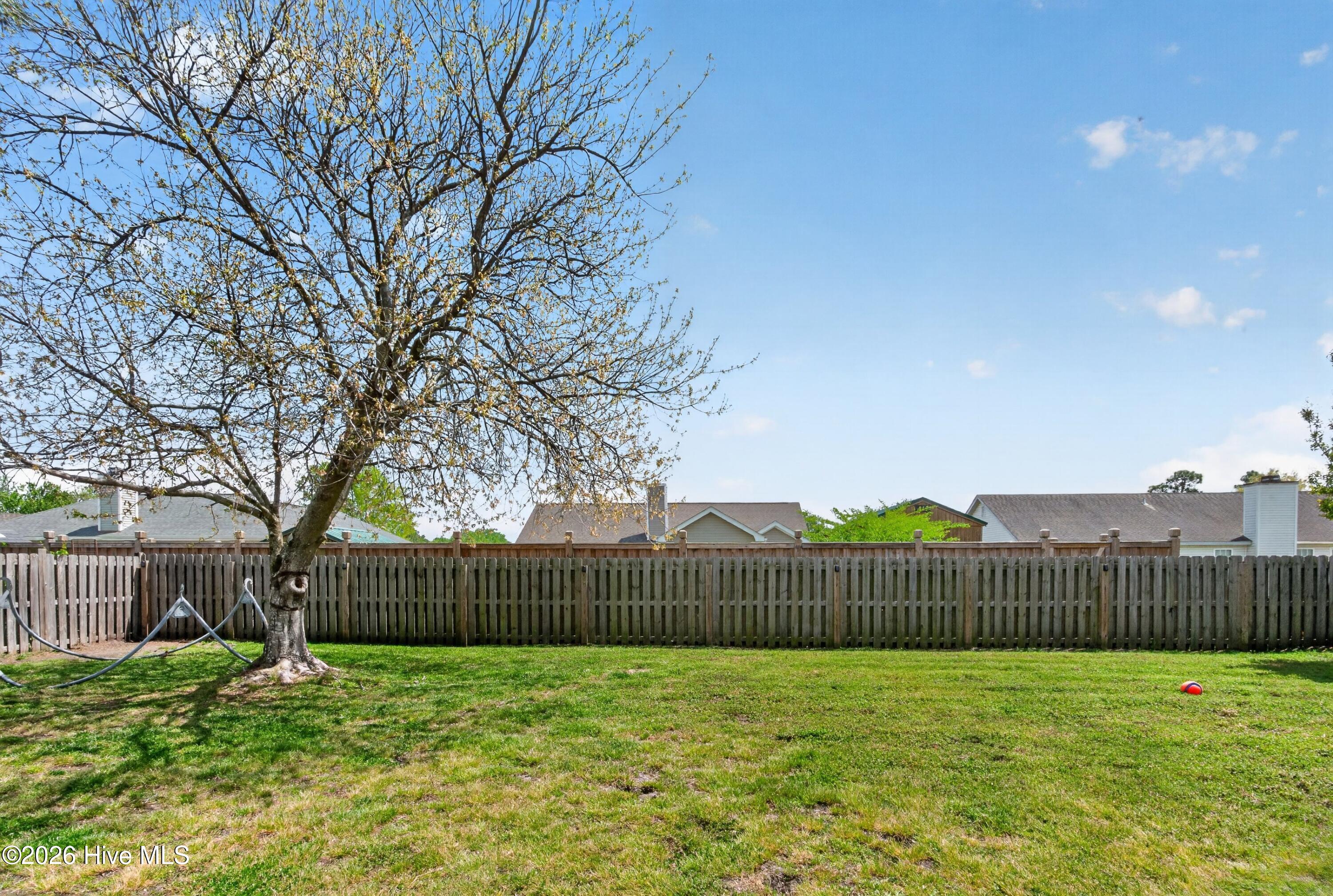 100566584 | Photo 22