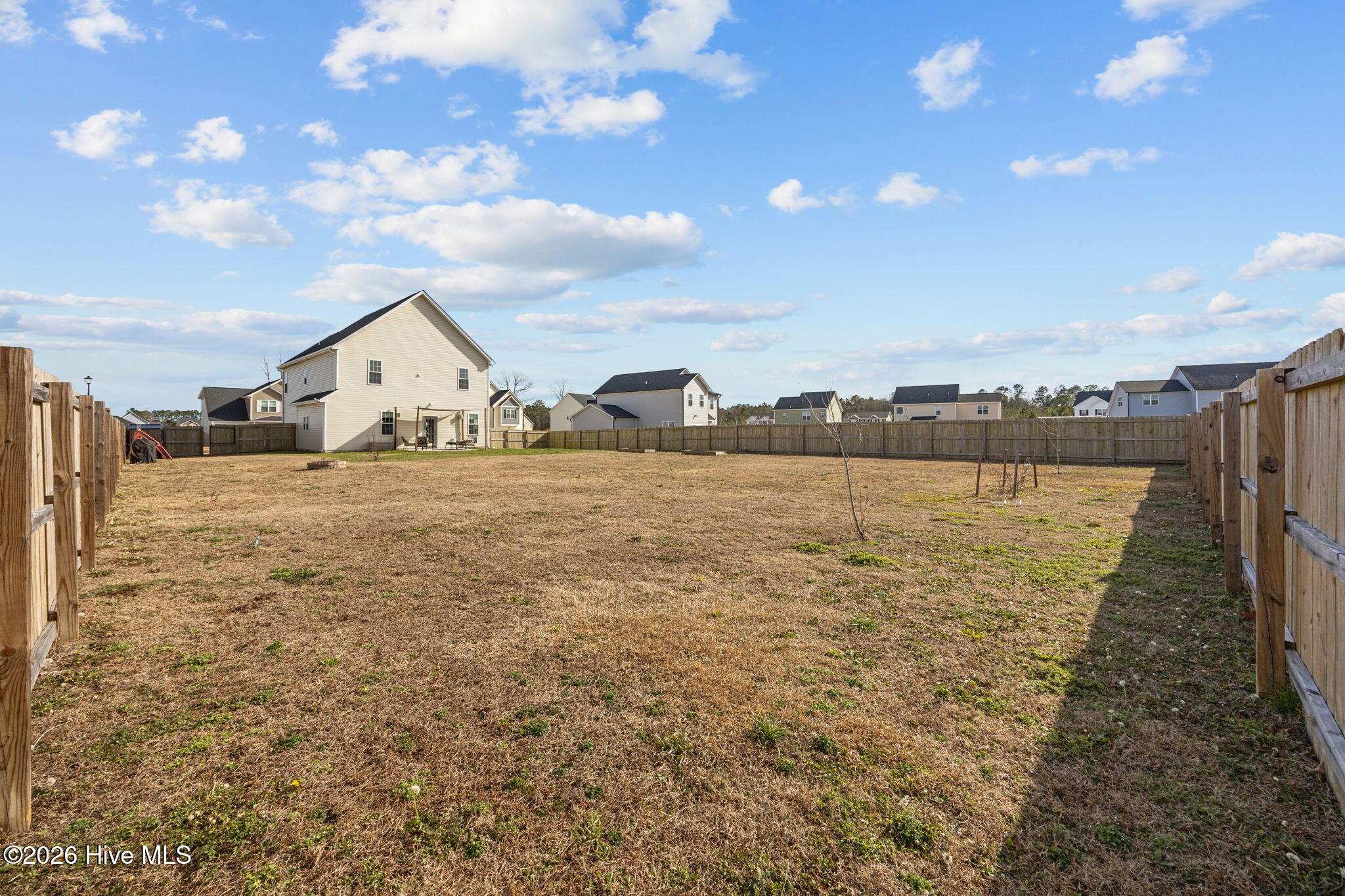 100559534 | Photo 46