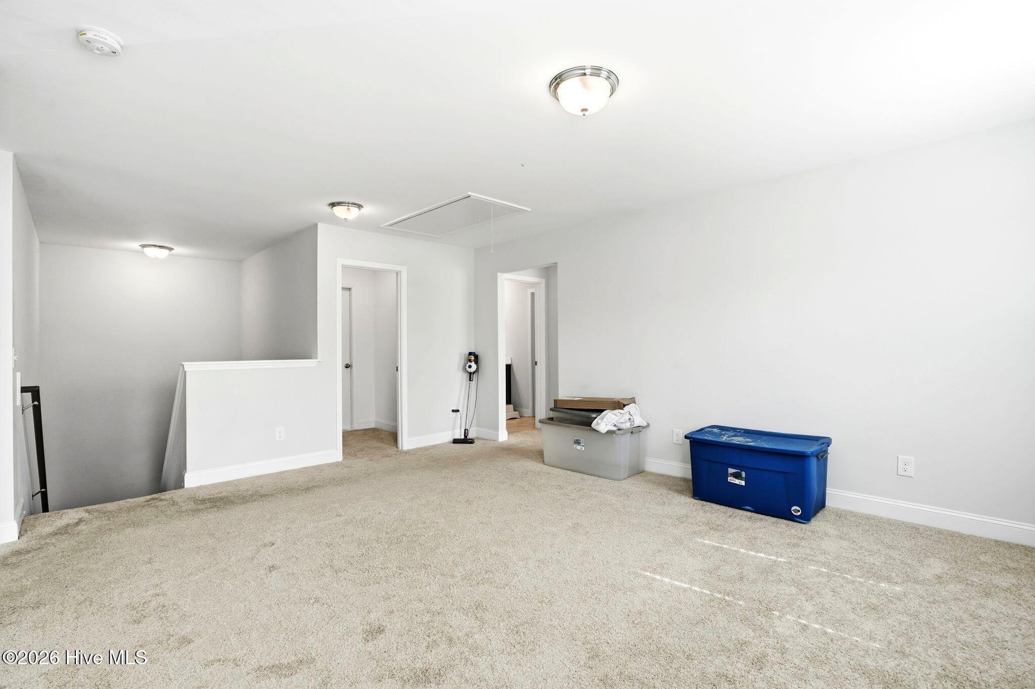 100567646 | Photo 42