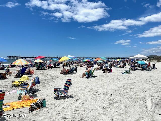 100496126 | Photo 78