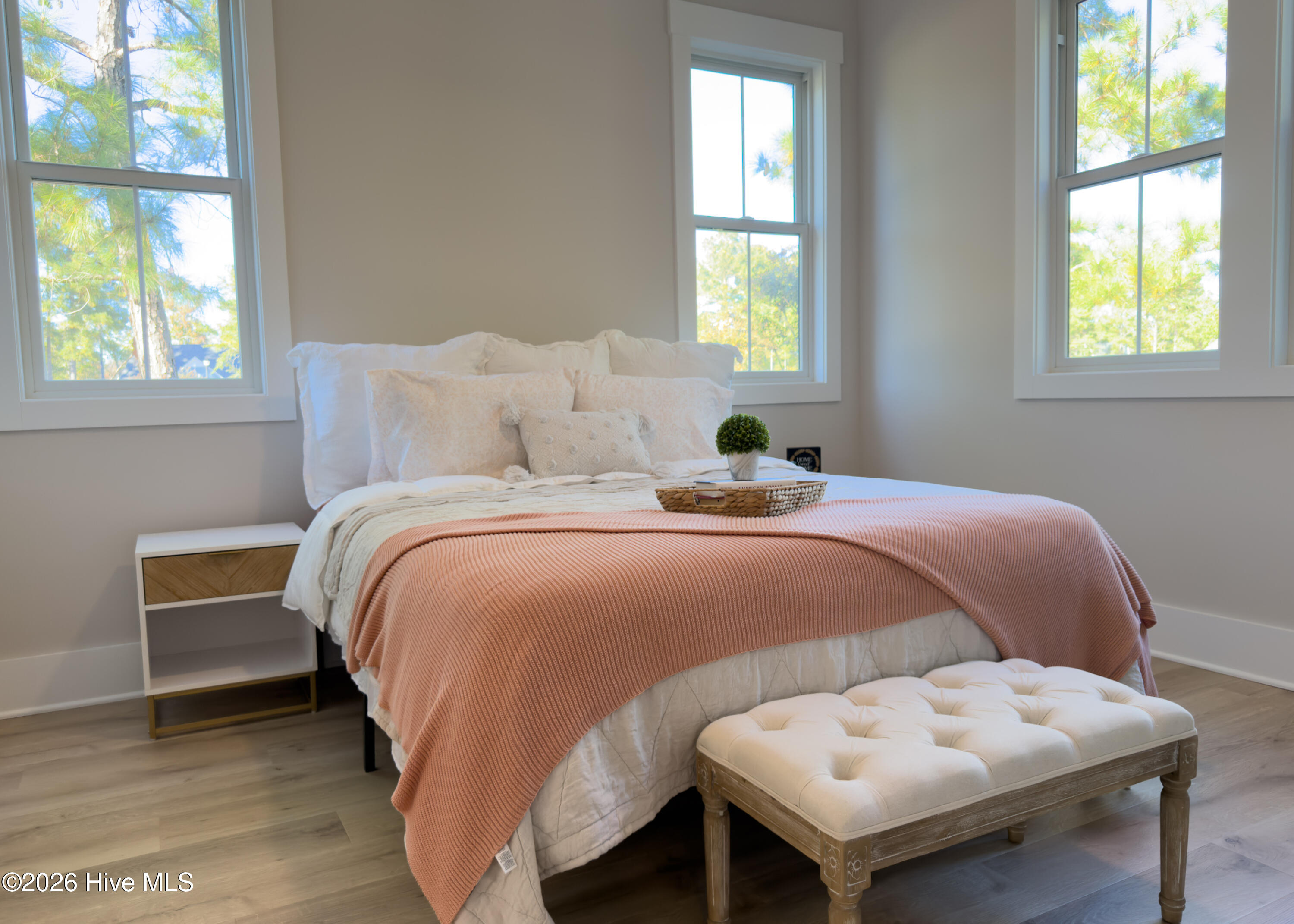 100558184 | Photo 17