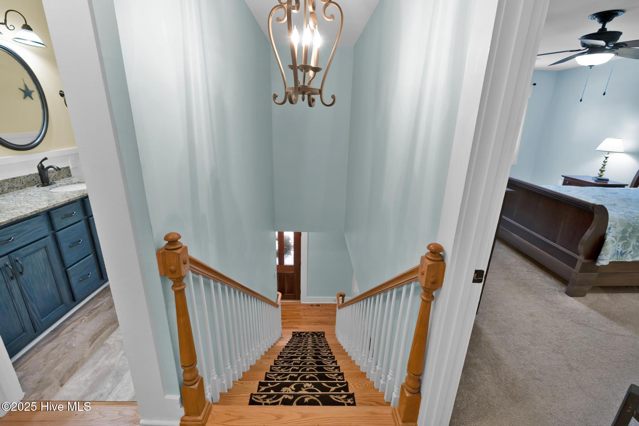 100541095 | Photo 29