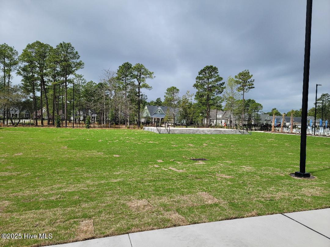 100566478 | Photo 80