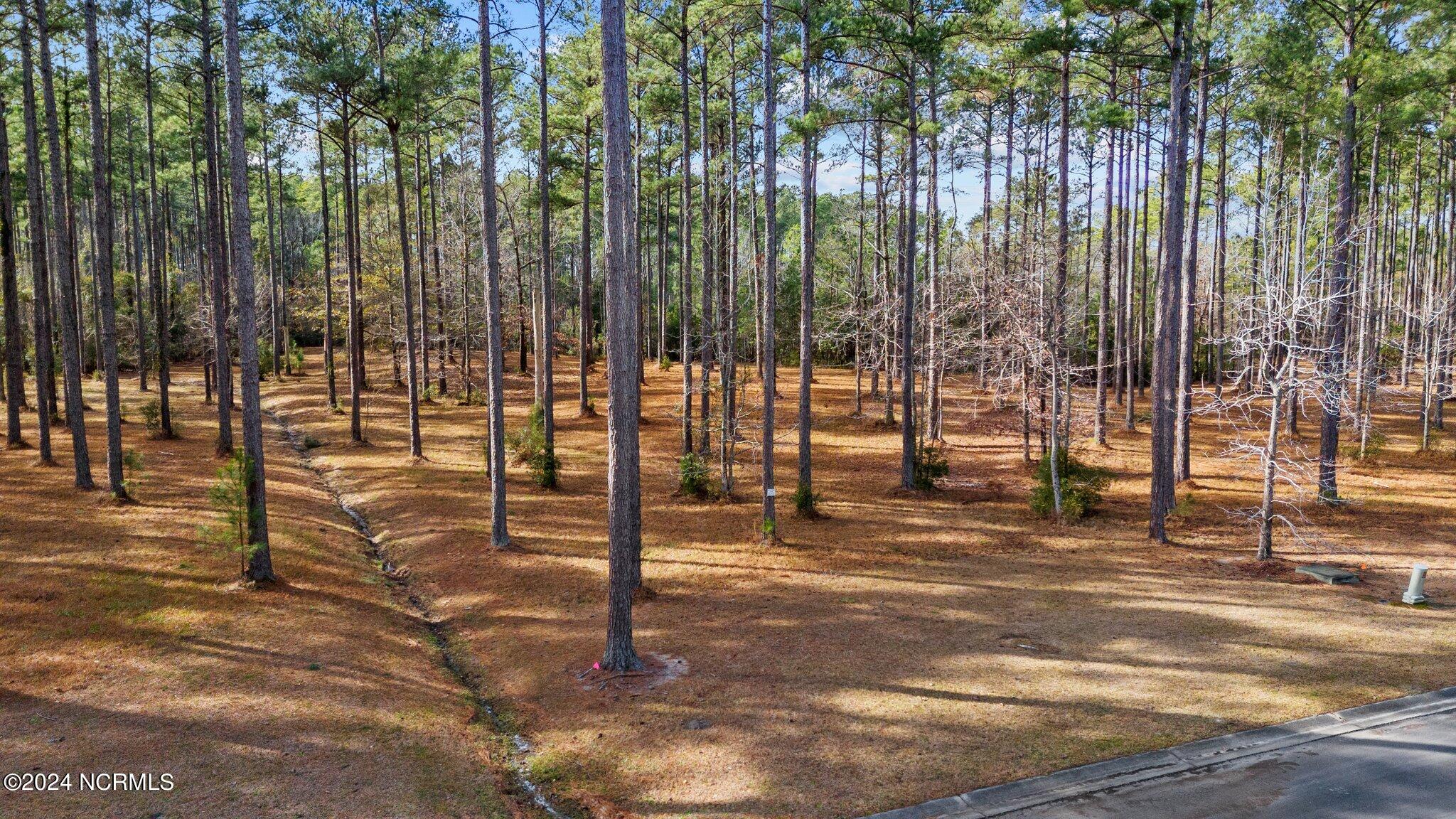 137 Lot 31 Ocracoke Drive,Oriental
