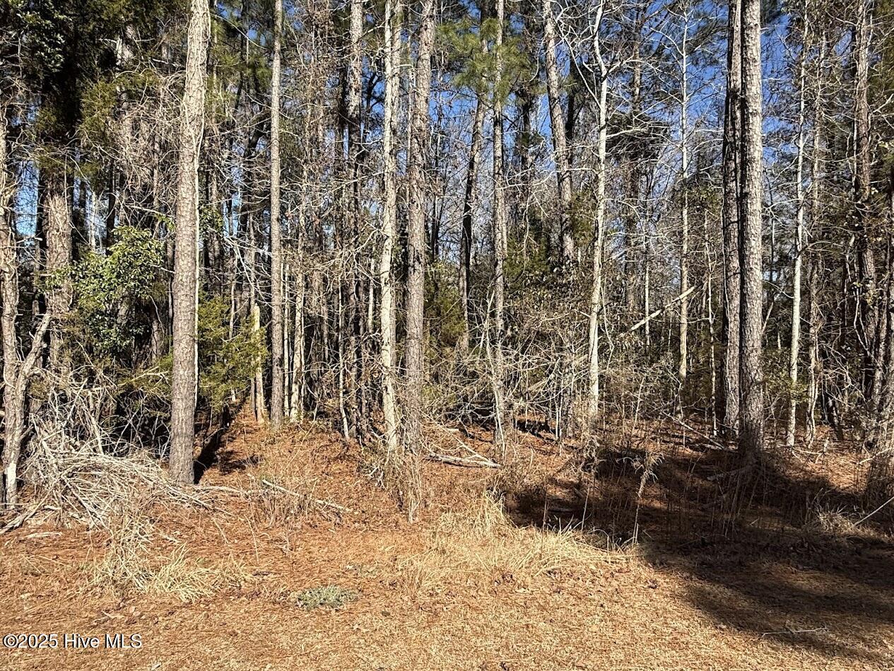 100486330 | Photo 19