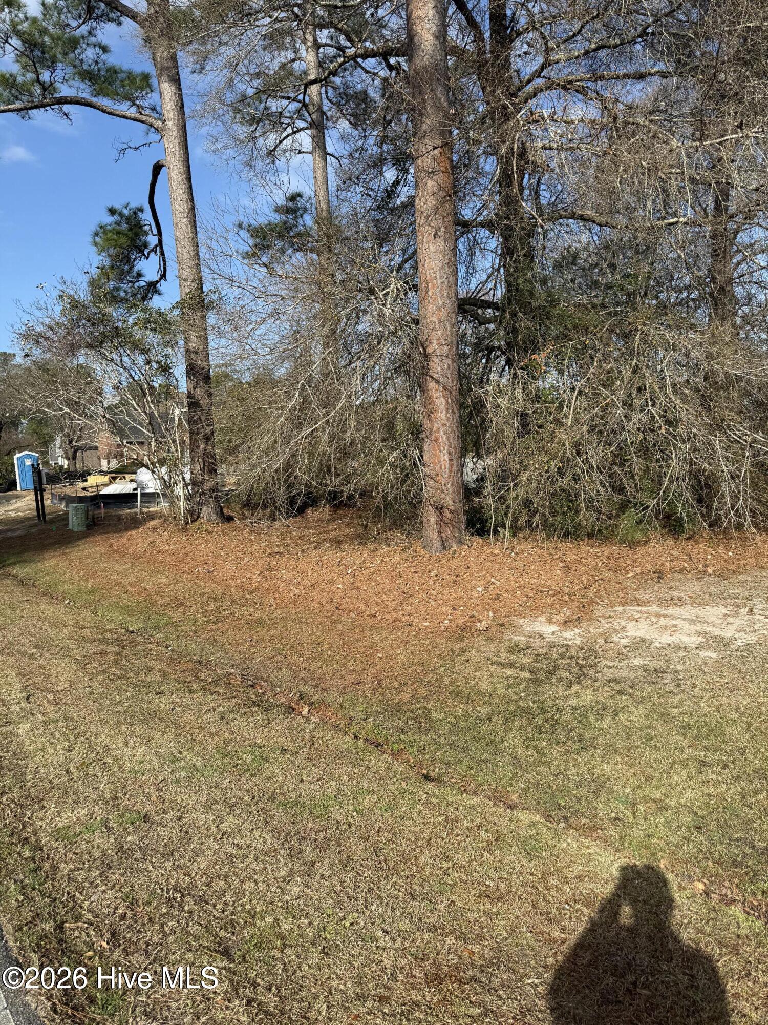 100558315 | Photo 16