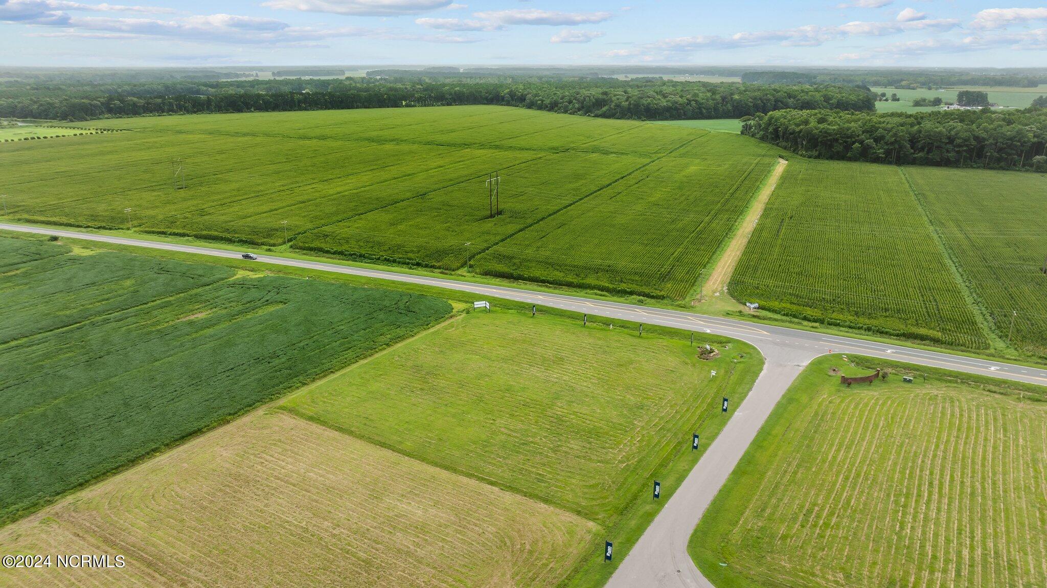 11-web-or-mls-DJI_0482