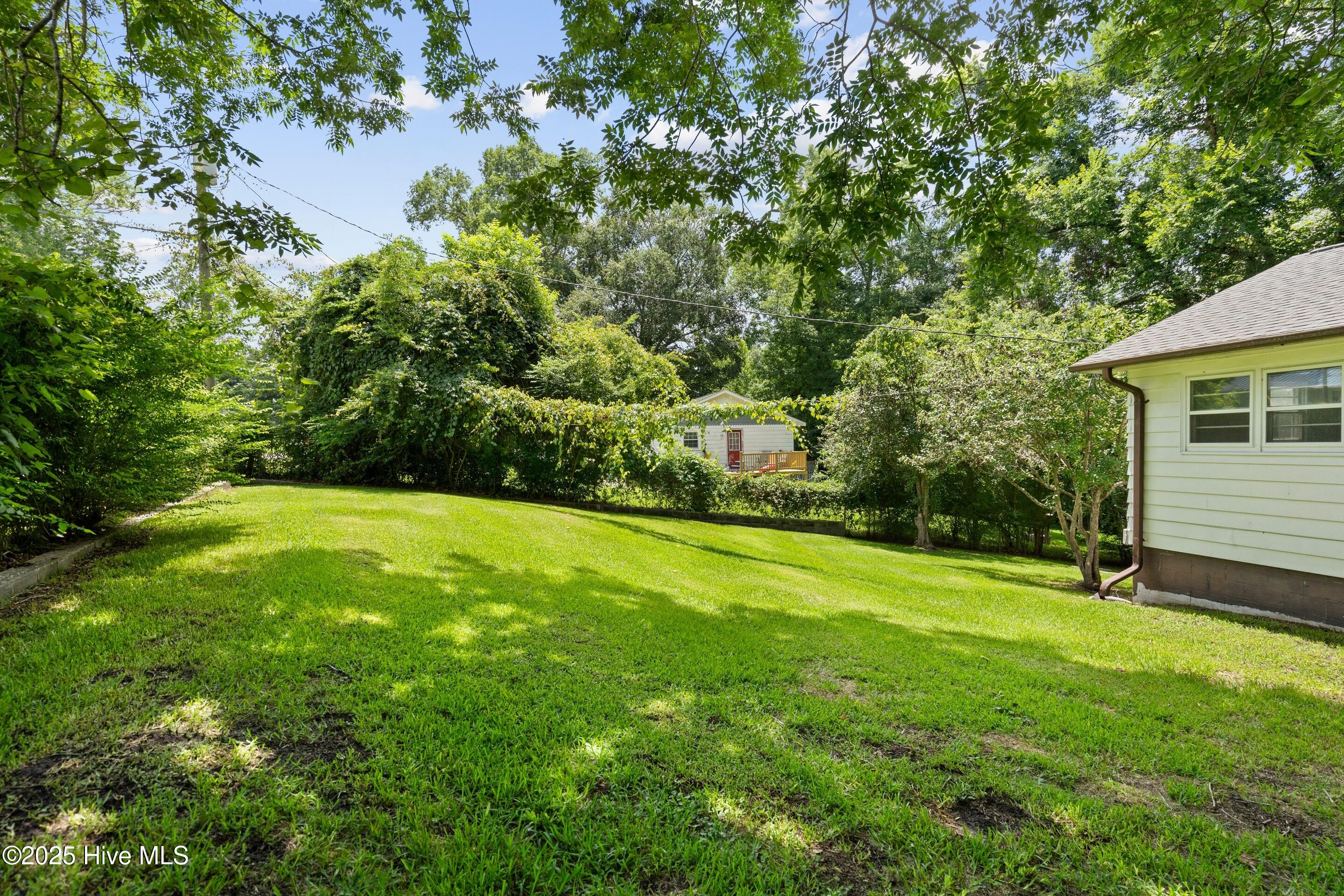 148 Jupiter Trail, Jacksonville, NC 28546 – photo 5: mls-DSC01372