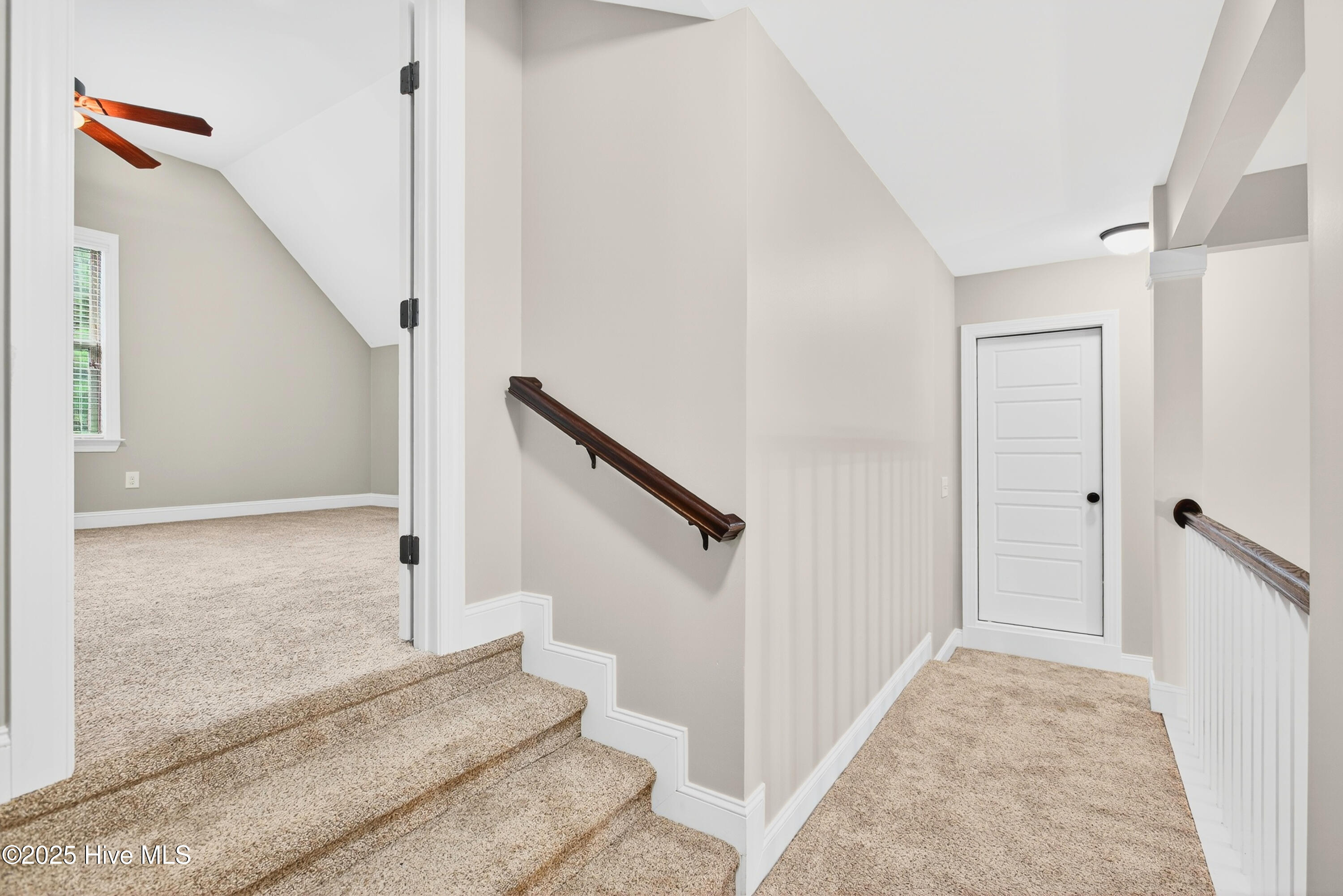 100534677 | Photo 38