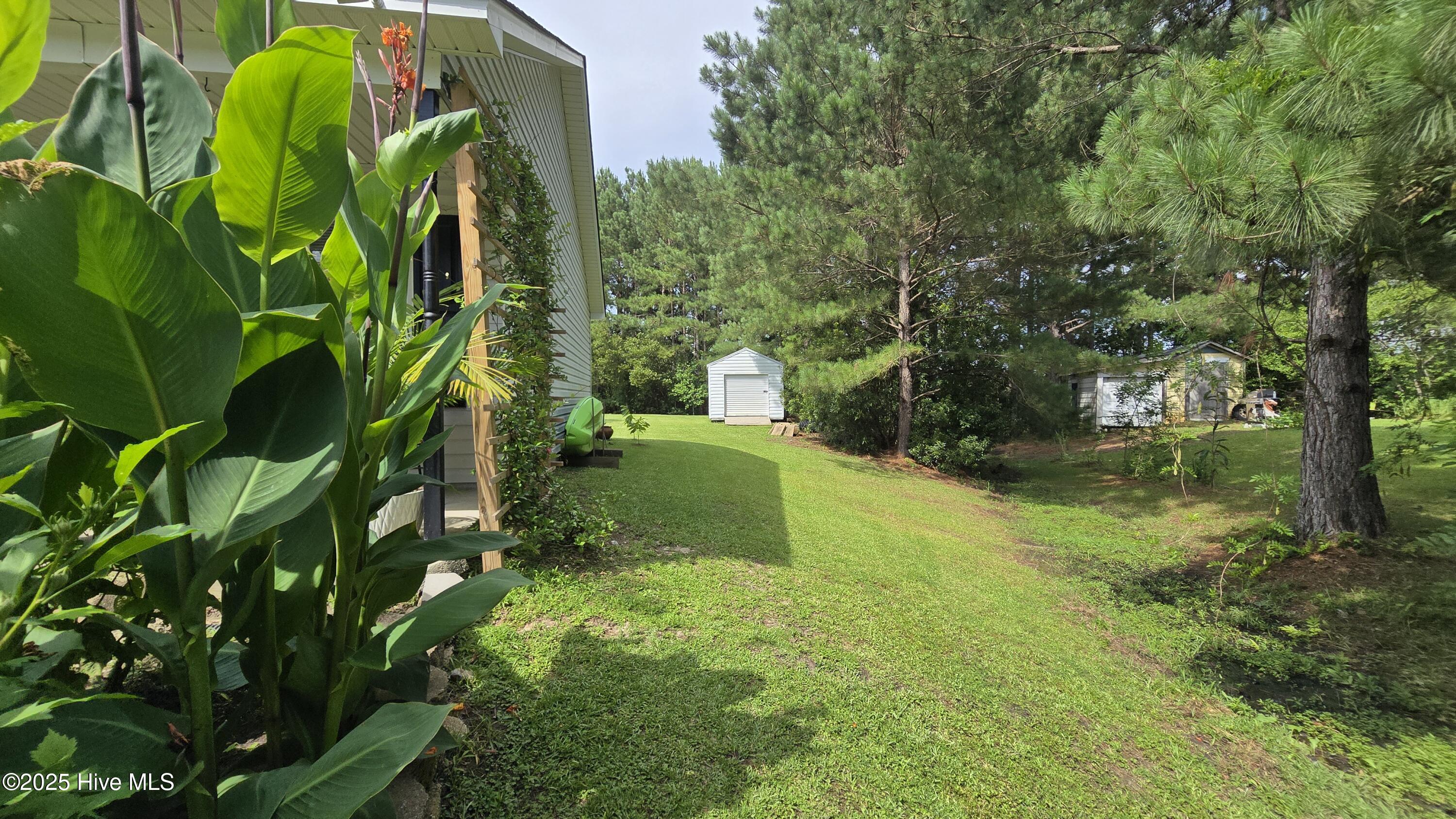 108 Willowbend Drive, Burgaw, NC 28425 – photo 20: Natural treeline
