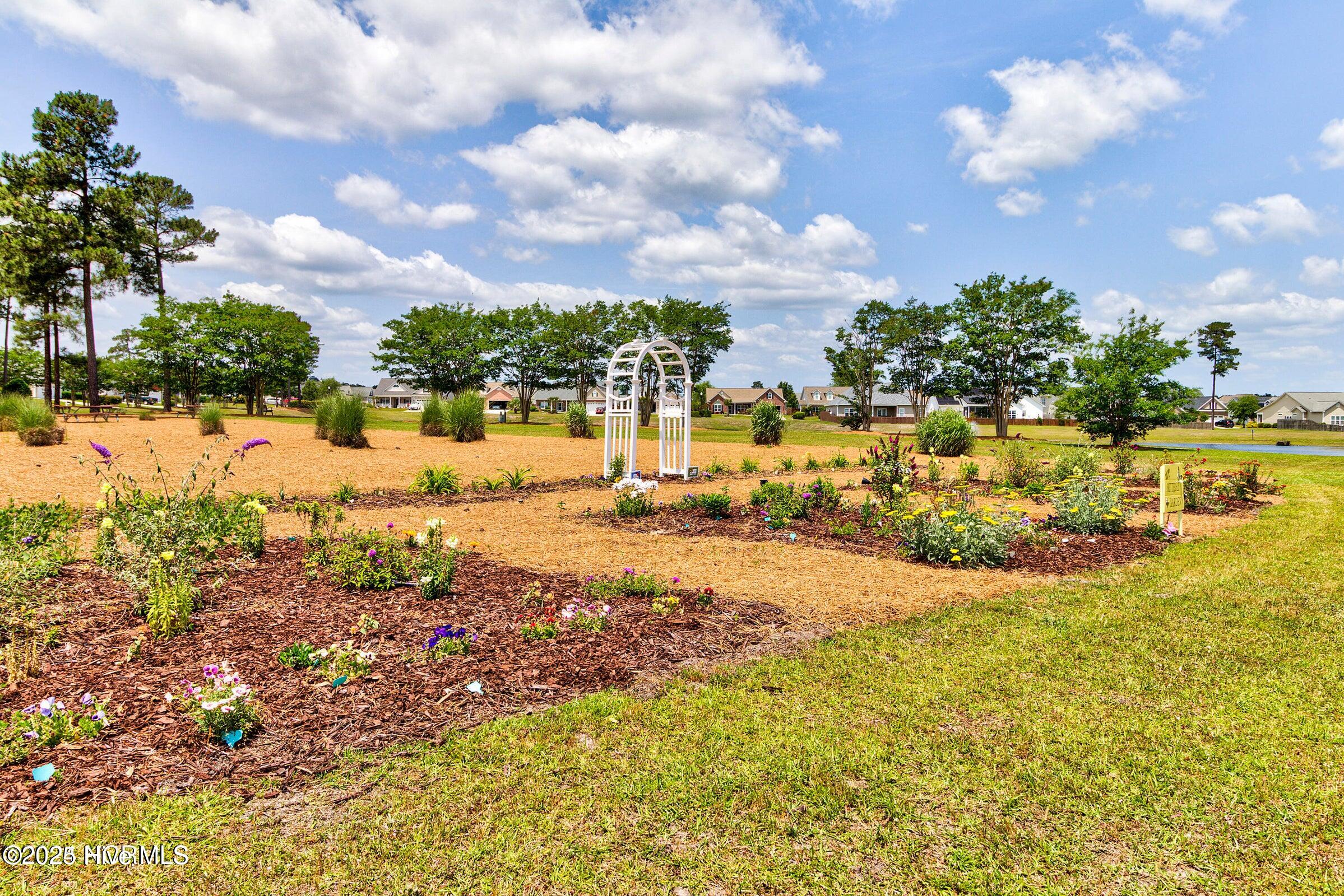 100541284 | Photo 24