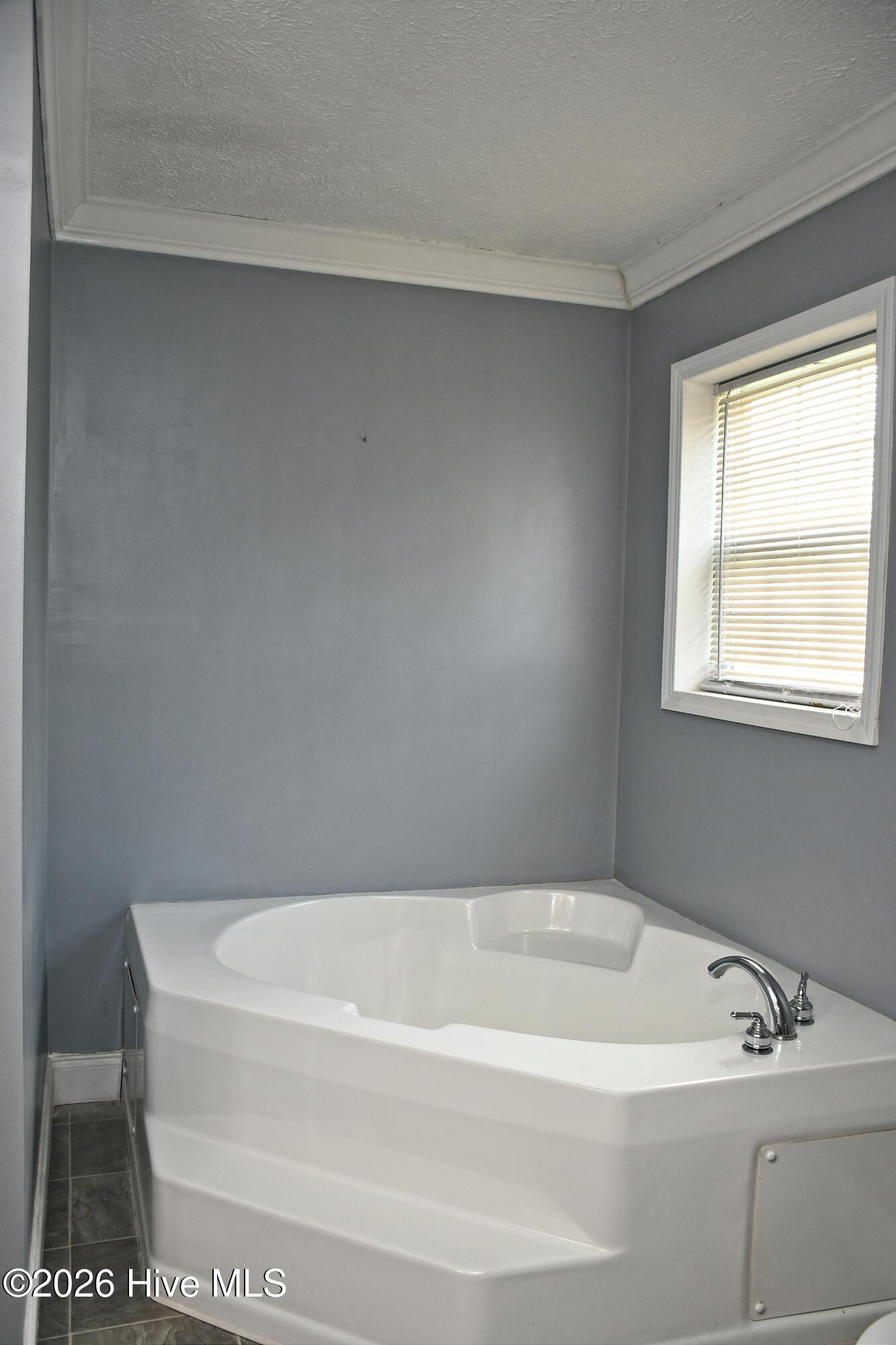 100565846 | Photo 31