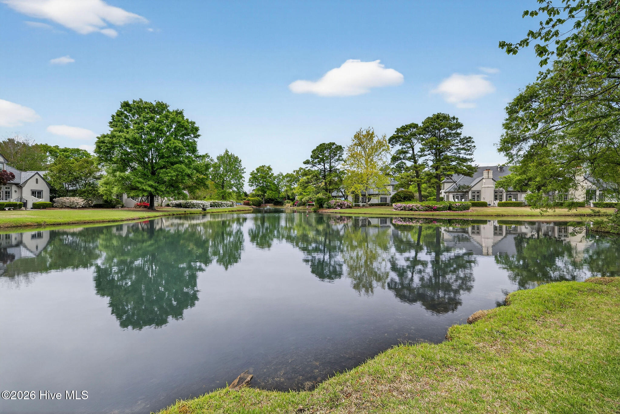 100565960 | Photo 22