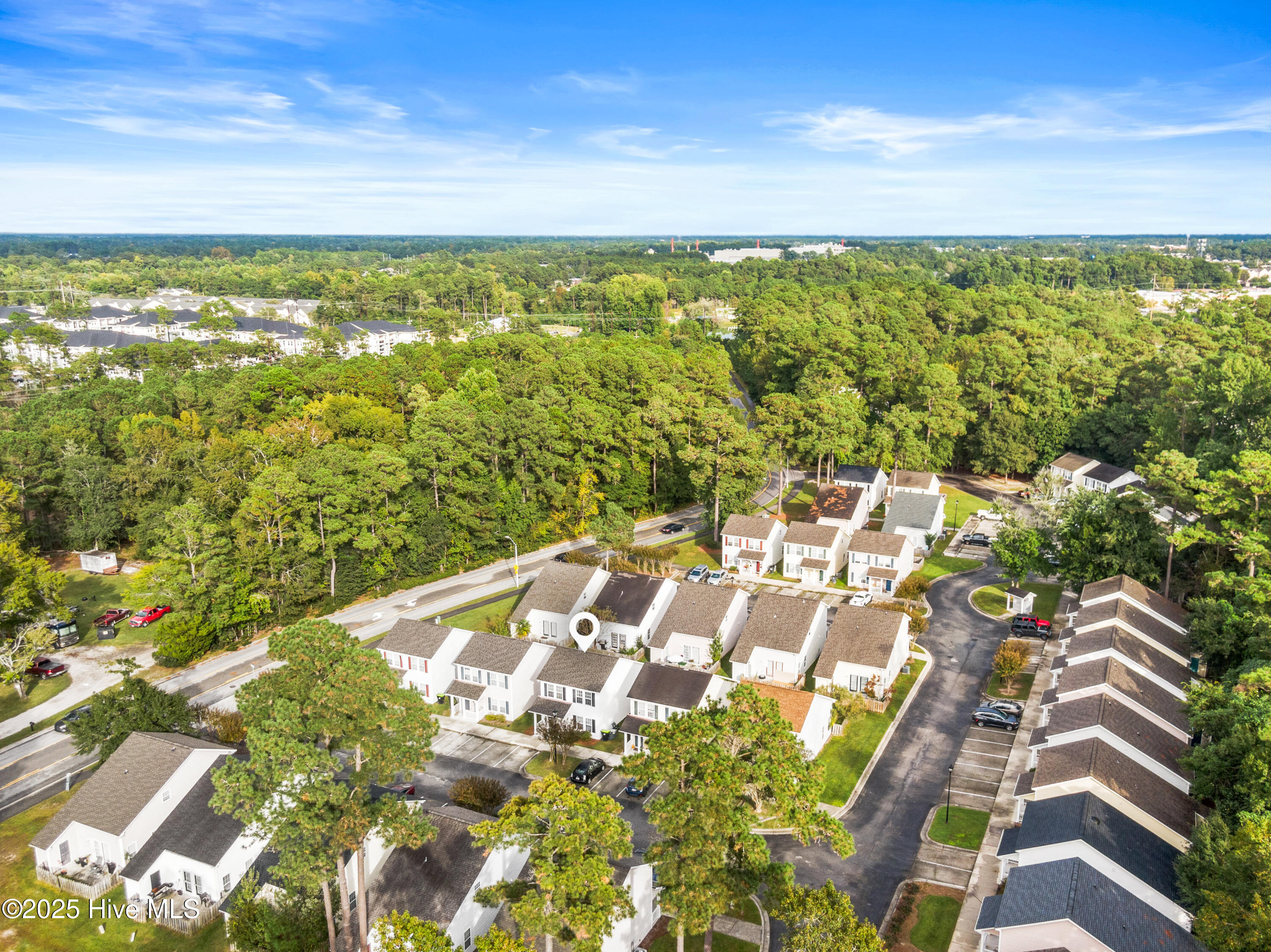 100535328 | Photo 29