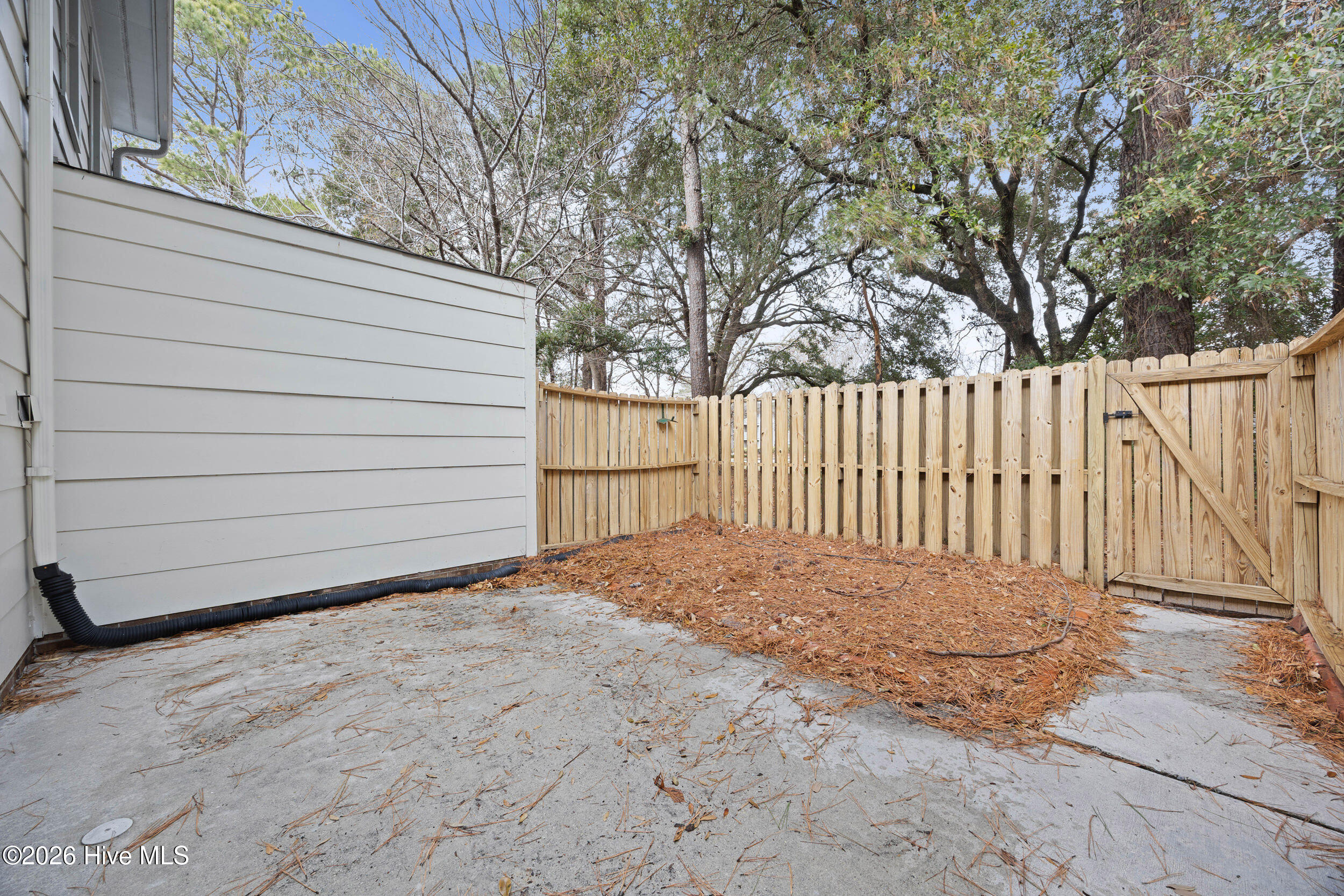 100551778 | Photo 30