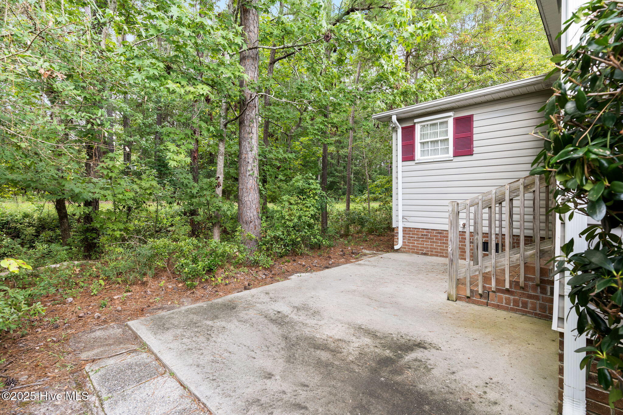 100527656 | Photo 38