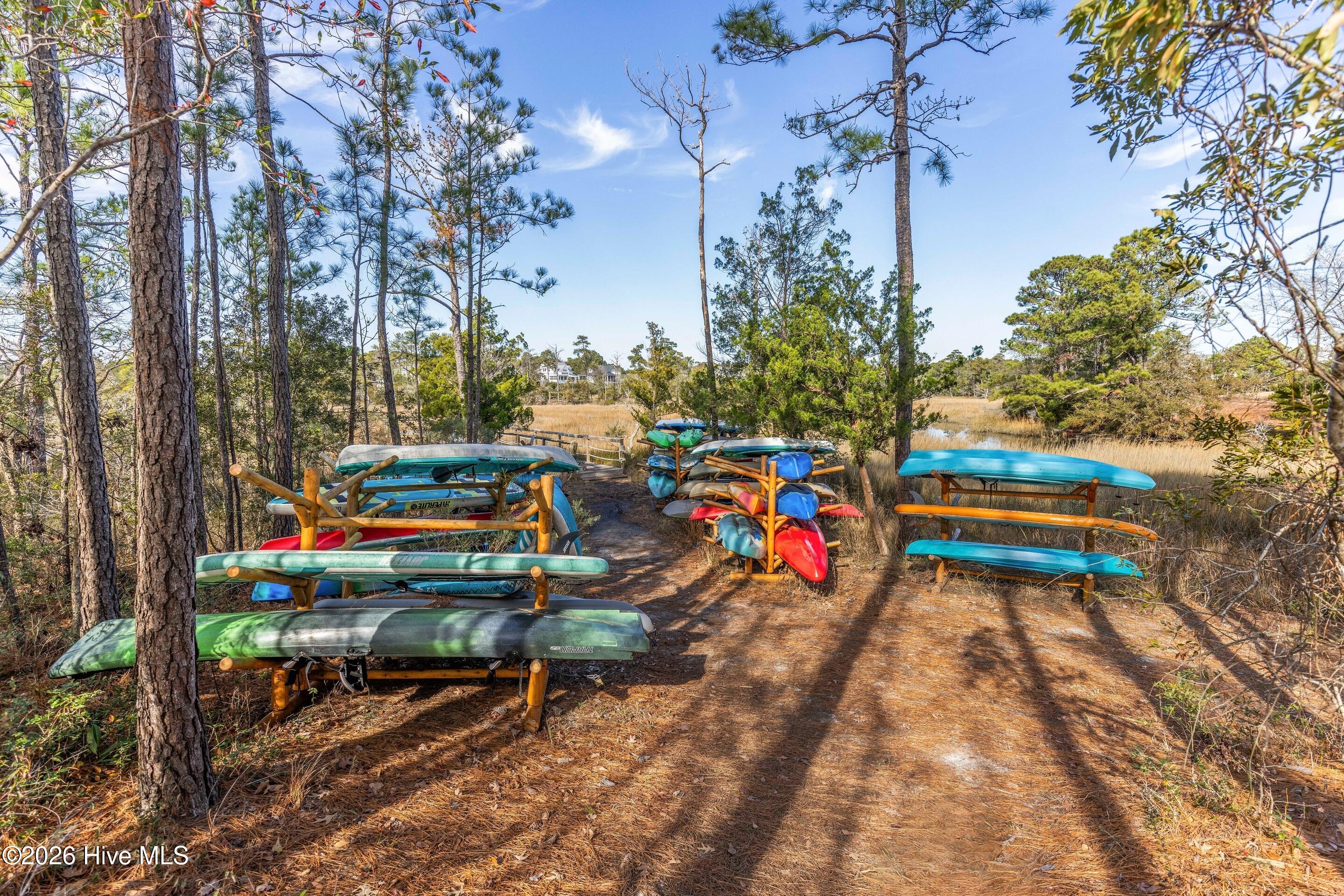 100546830 | Photo 96