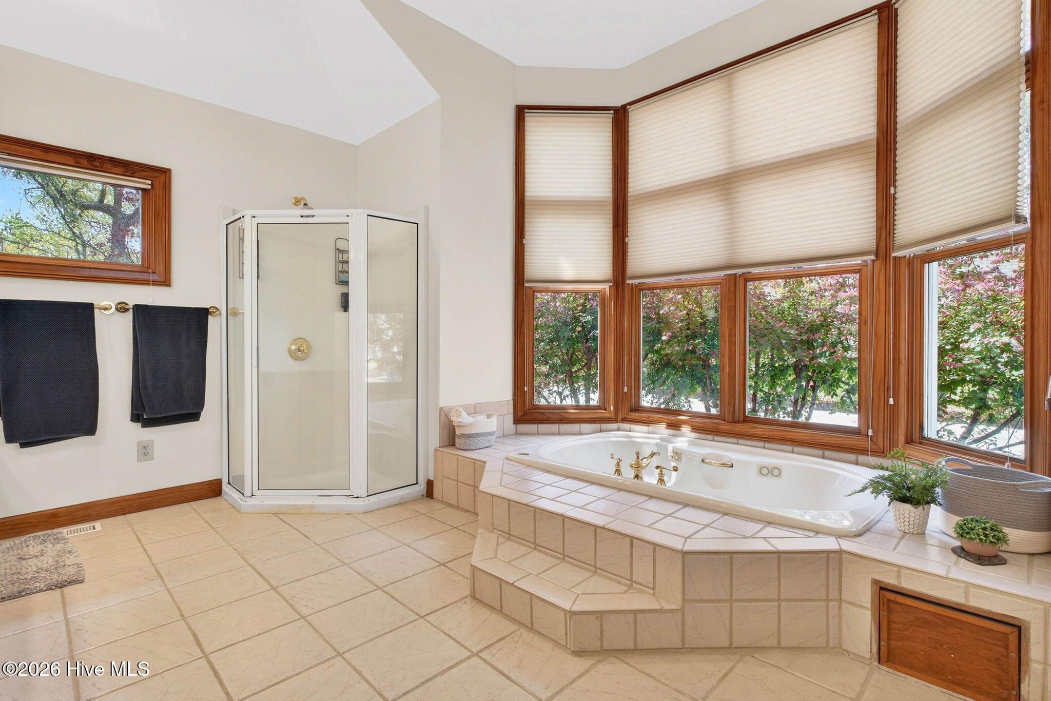 100564885 | Photo 37