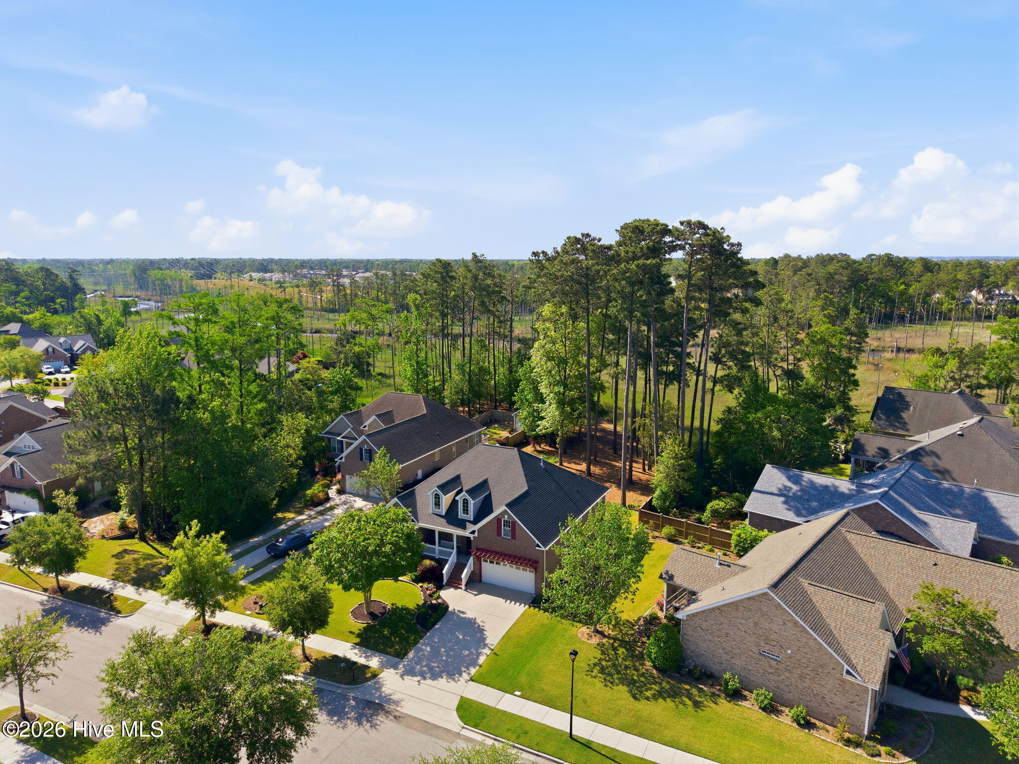 100569410 | Photo 33