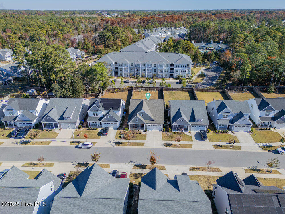 100542116 | Photo 32