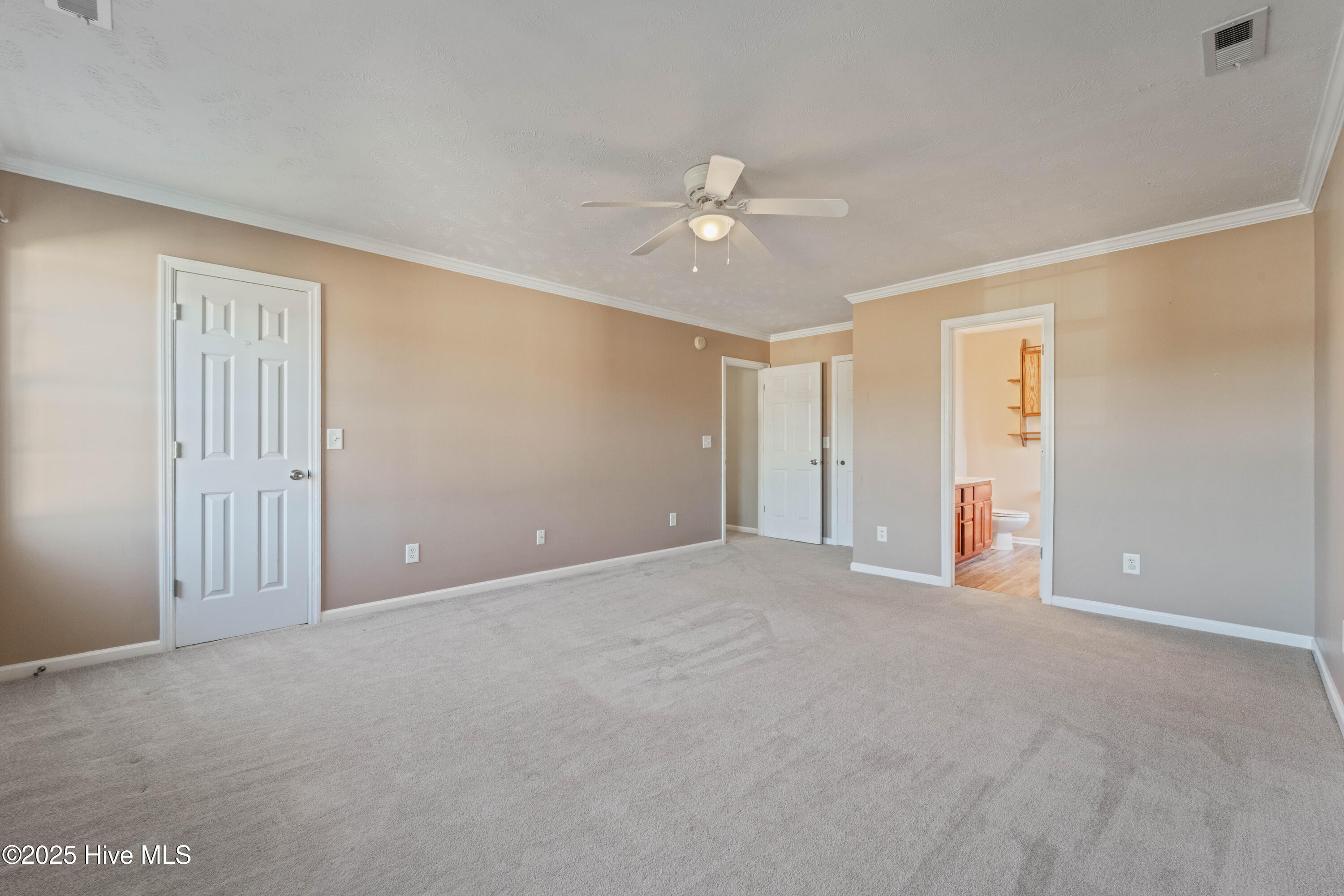 100556361 | Photo 11