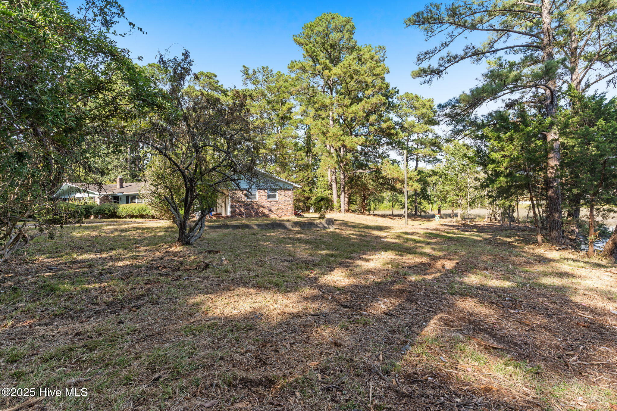 100534429 | Photo 12