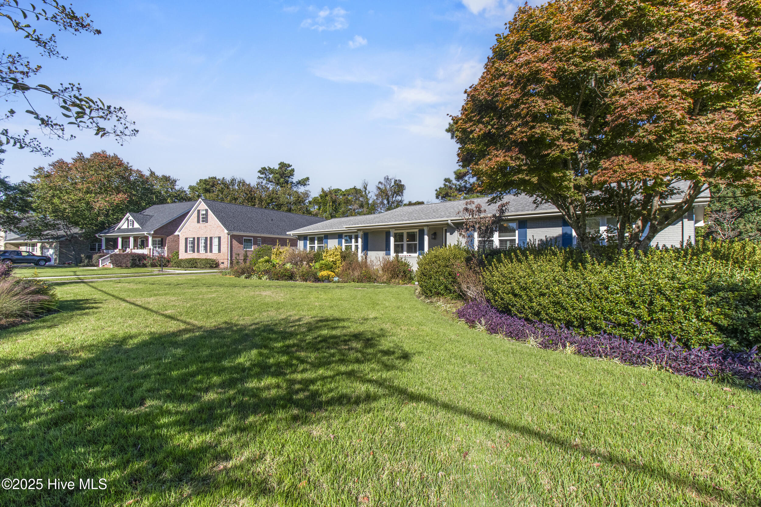 100537992 | Photo 46