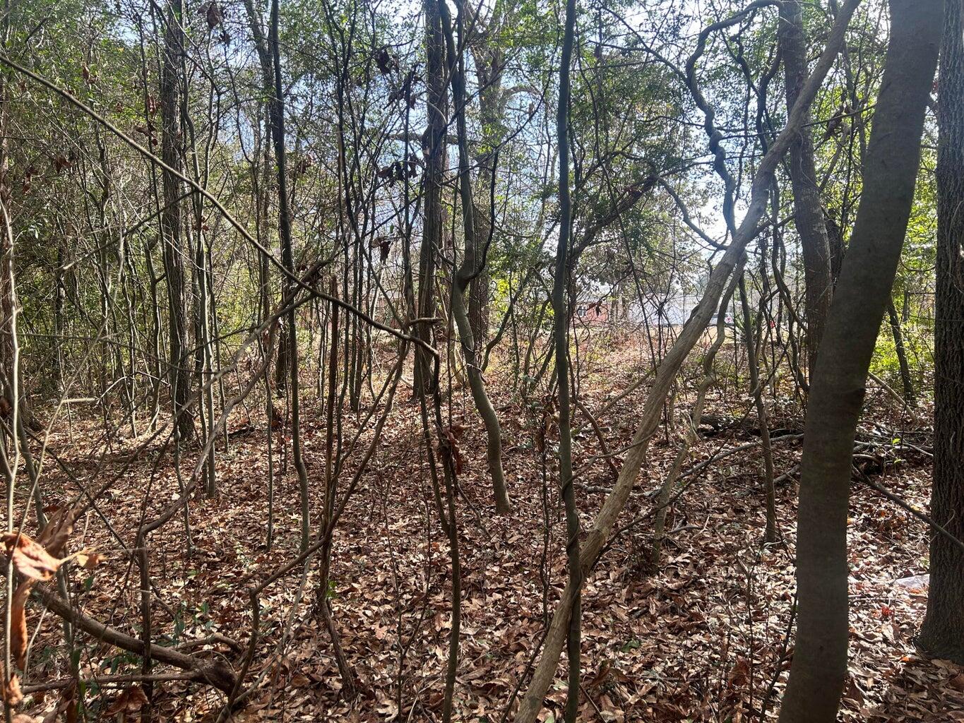 Homes for sale in New Ellenton, SC | 0 Robinson Dr, New Ellenton, SC 29809 | MLS# 551334