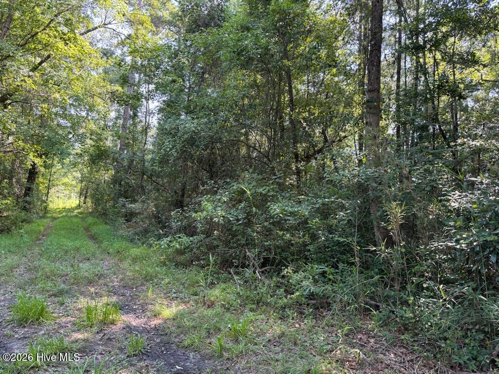 1st image of Lot 6 E Wilmington St, Burgaw, NC 28425 | MLS# 100595820
